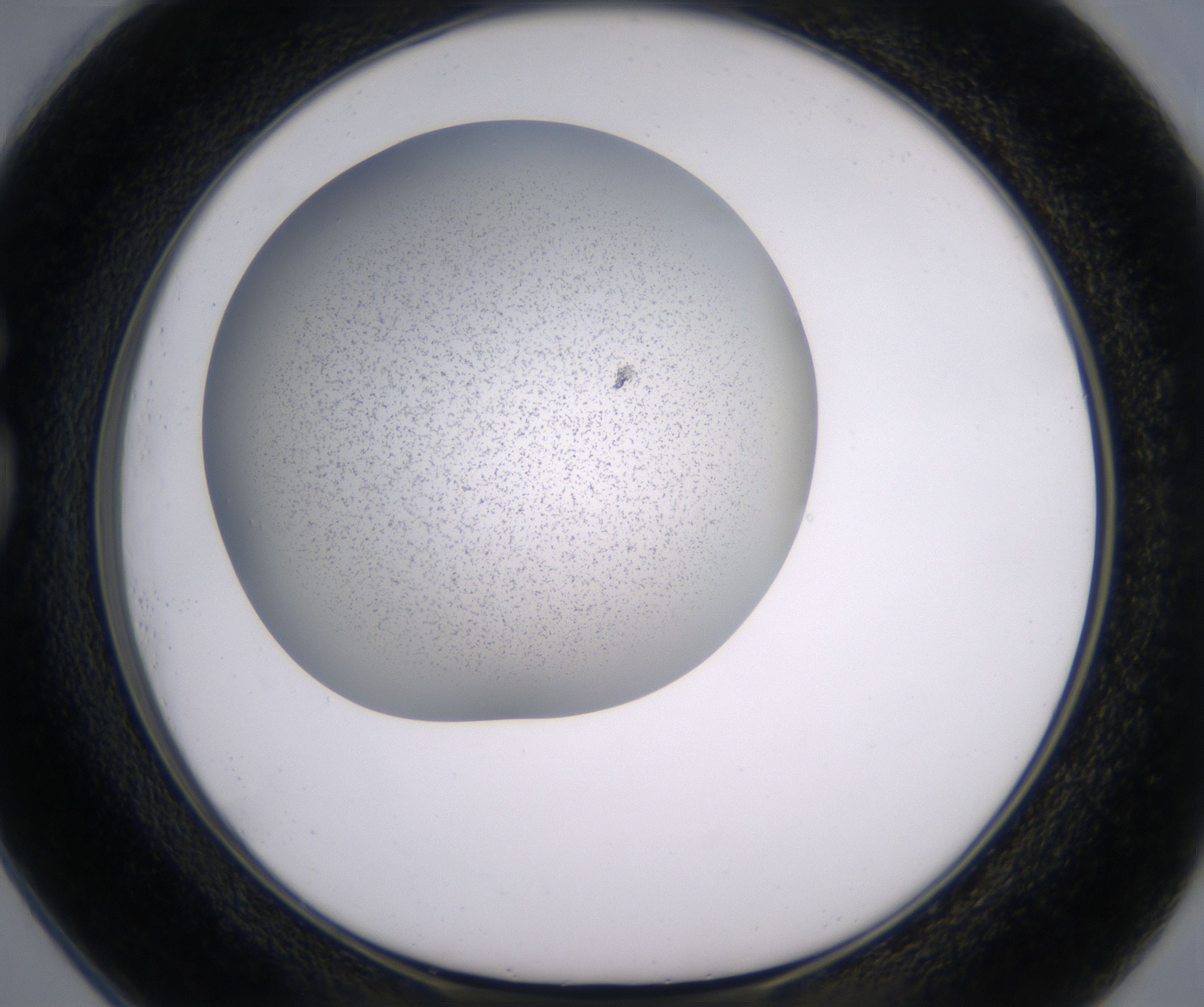G1_HighResolution_Precipitate_1.jpg