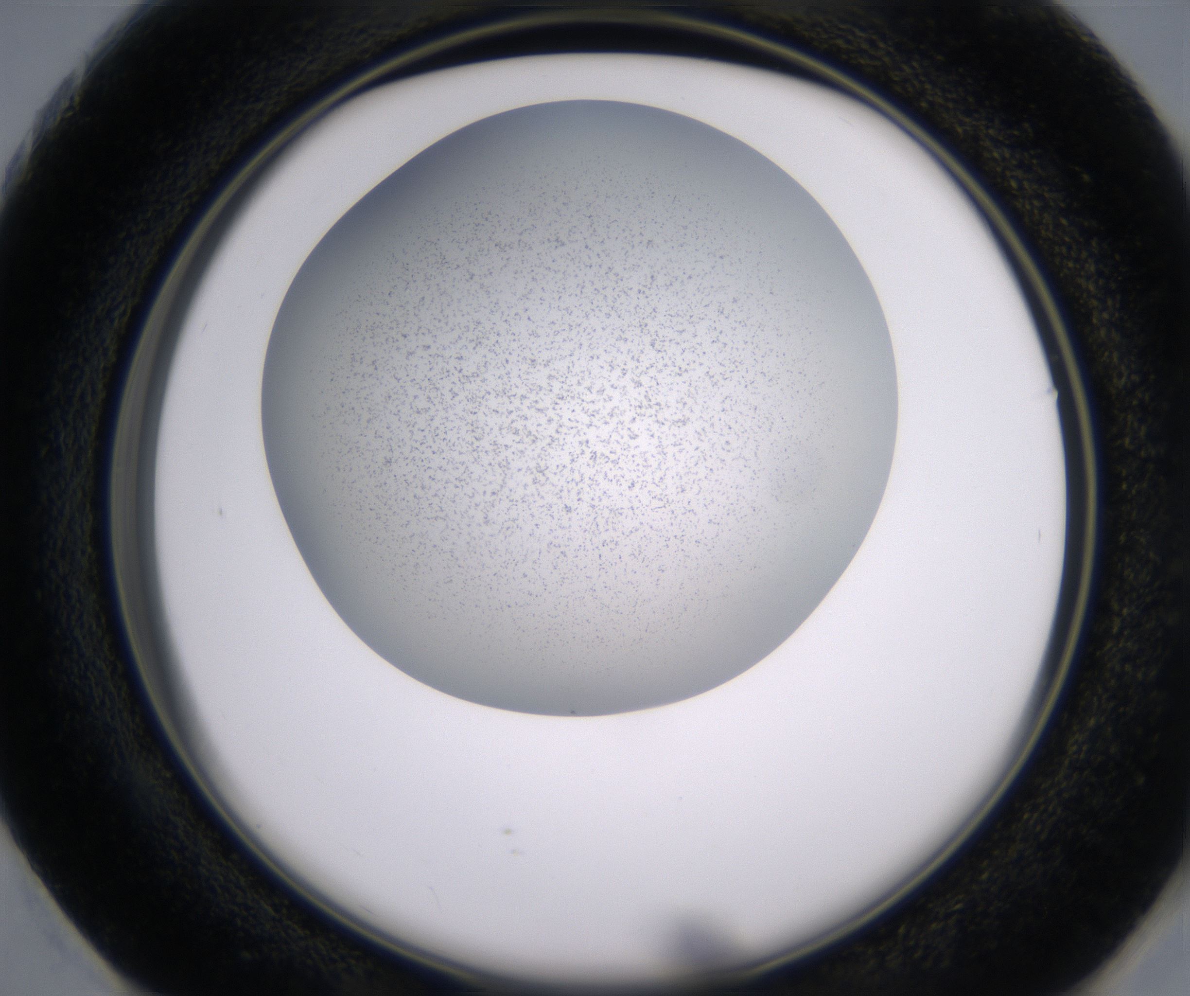 G1_HighResolution_Precipitate_2.jpg