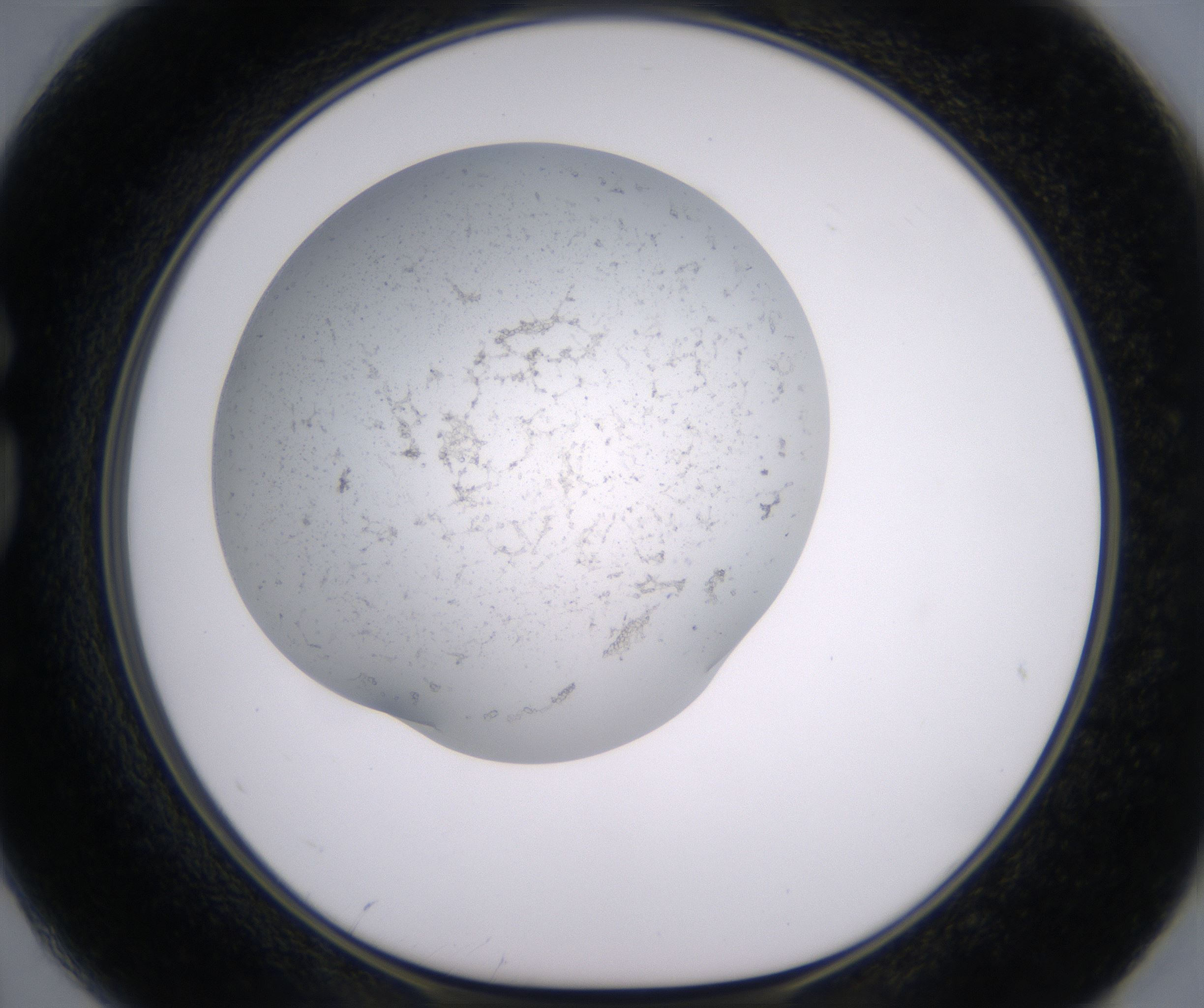 G2_HighResolution_Precipitate_1.jpg