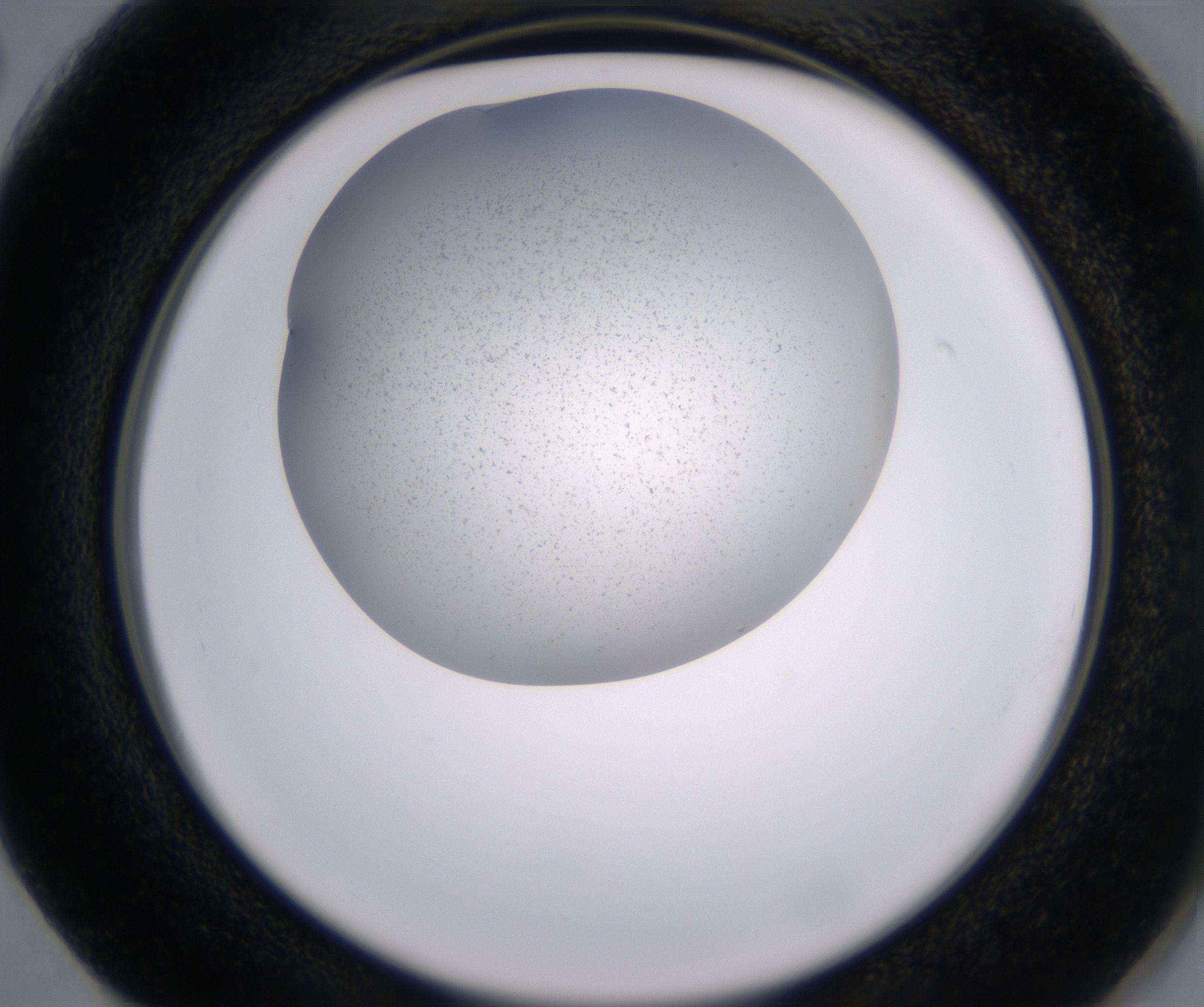 G2_HighResolution_Precipitate_2.jpg
