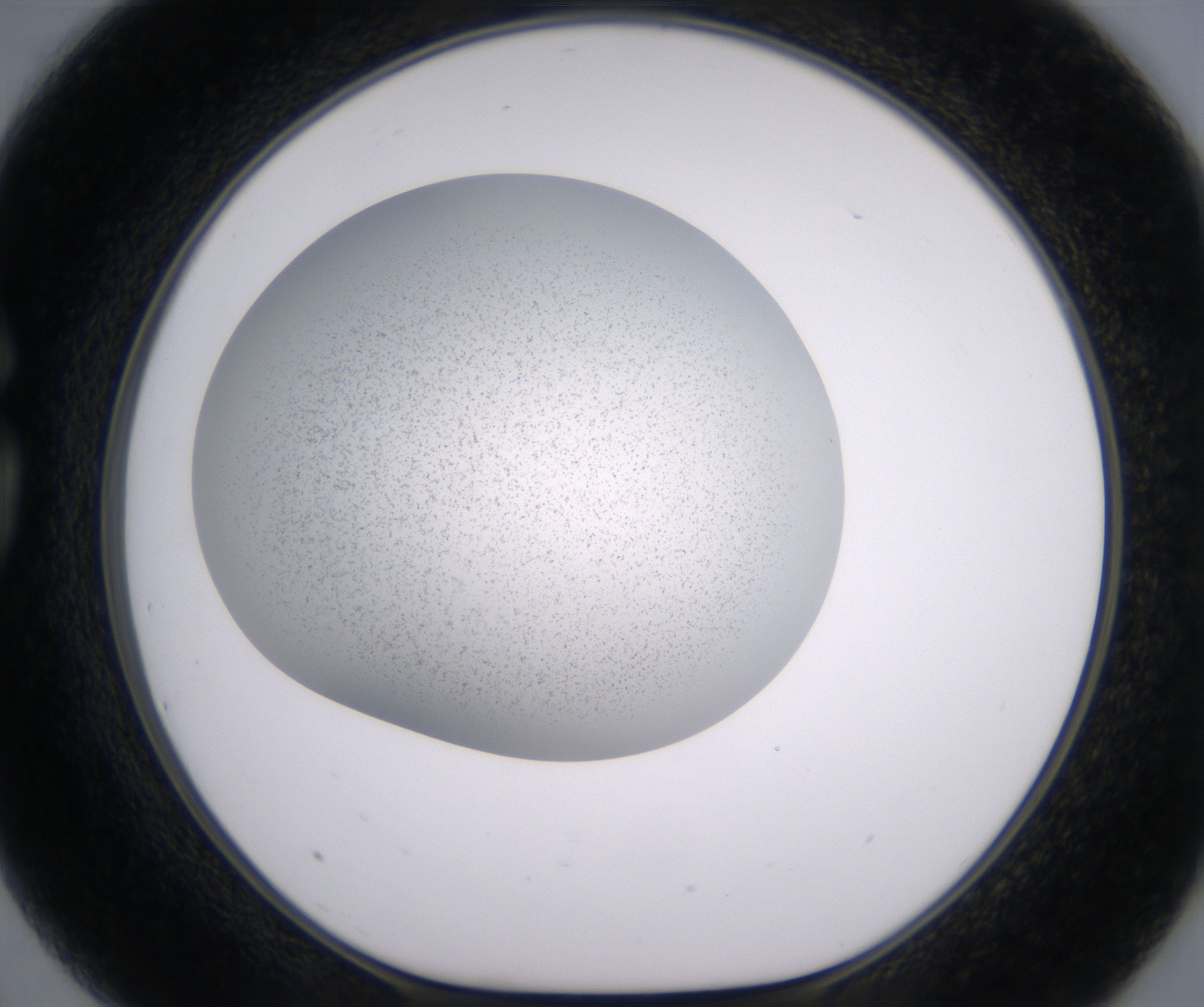 G3_HighResolution_Precipitate_1.jpg