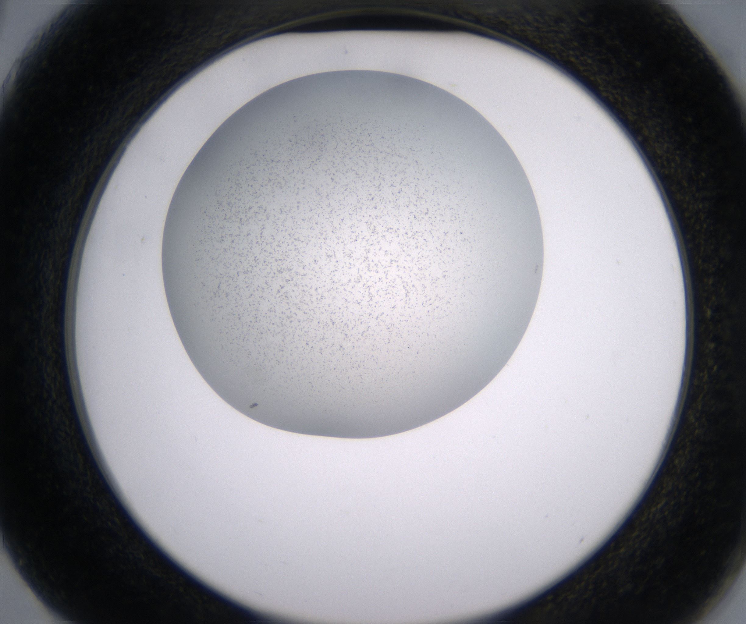G3_HighResolution_Precipitate_2.jpg