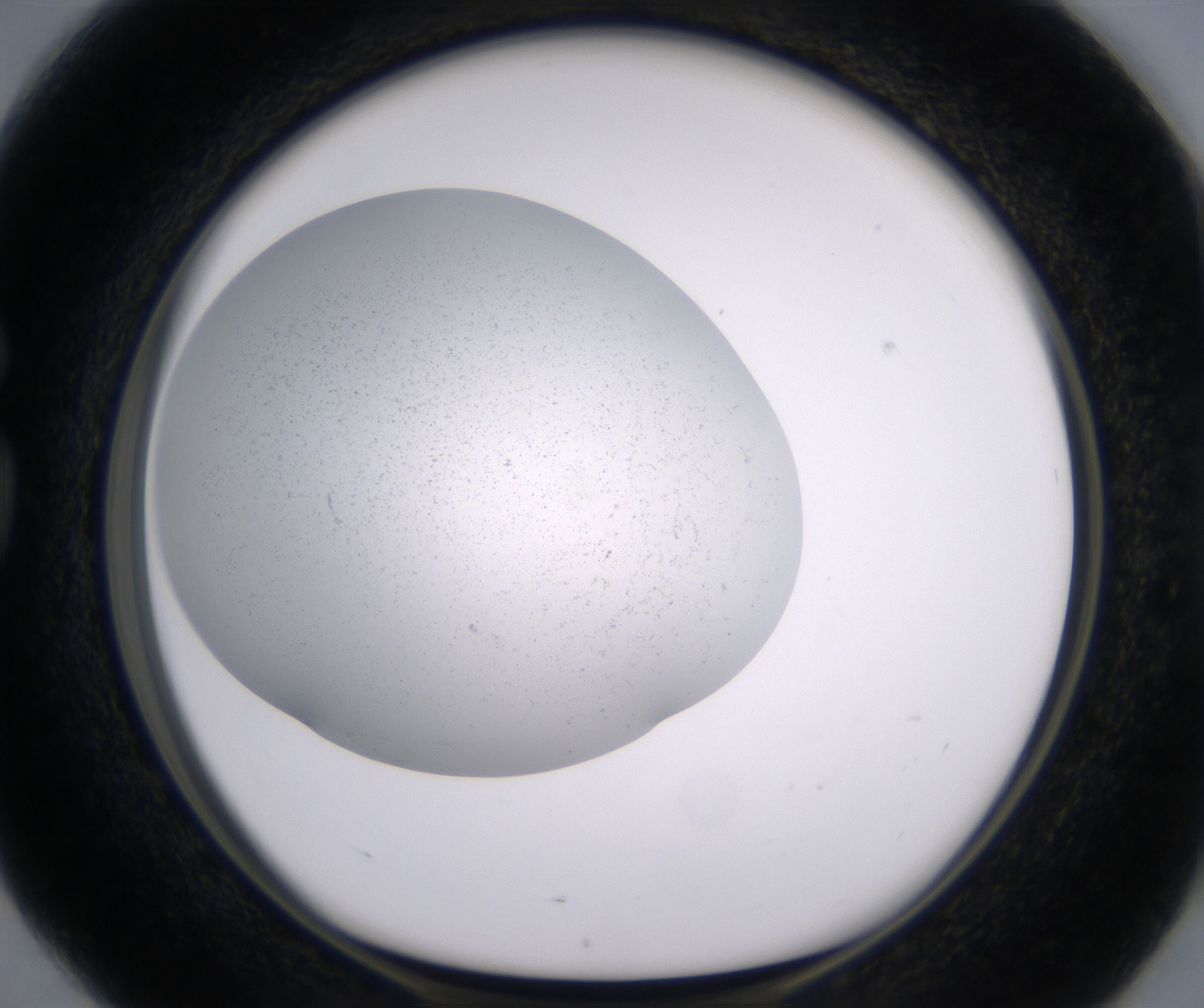 G4_HighResolution_Precipitate_1.jpg