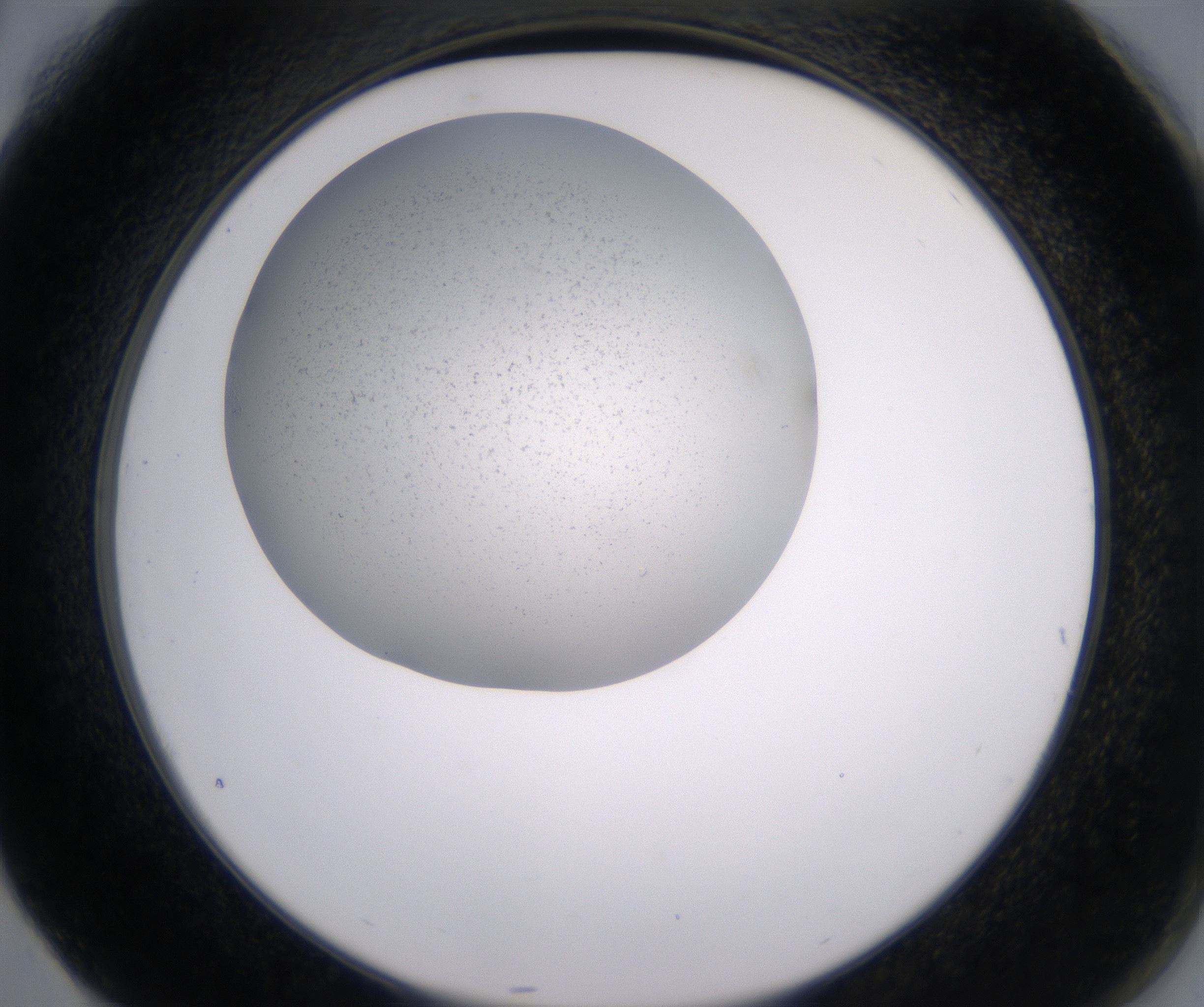 G4_HighResolution_Precipitate_2.jpg