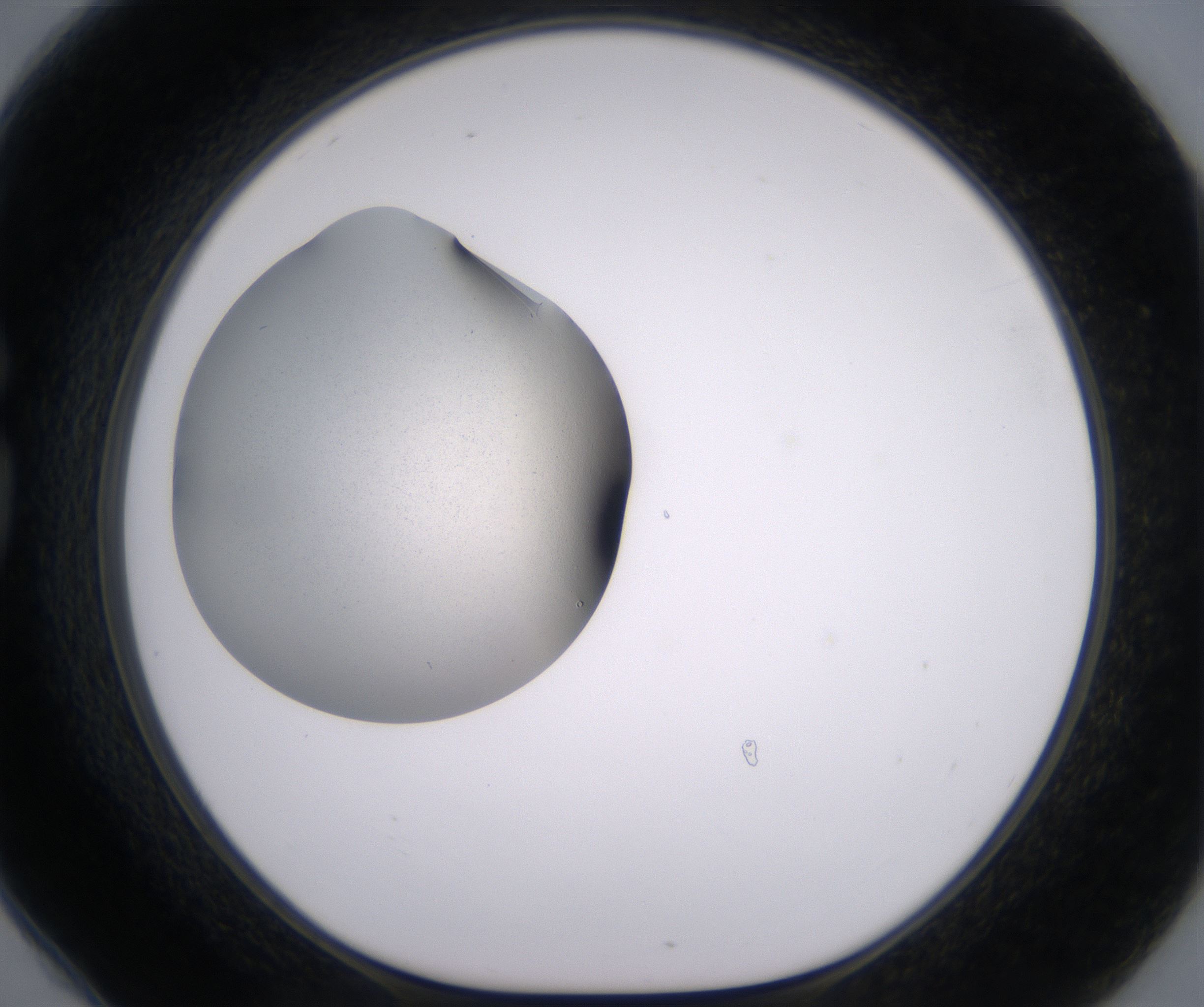 G6_HighResolution_Clear_1.jpg