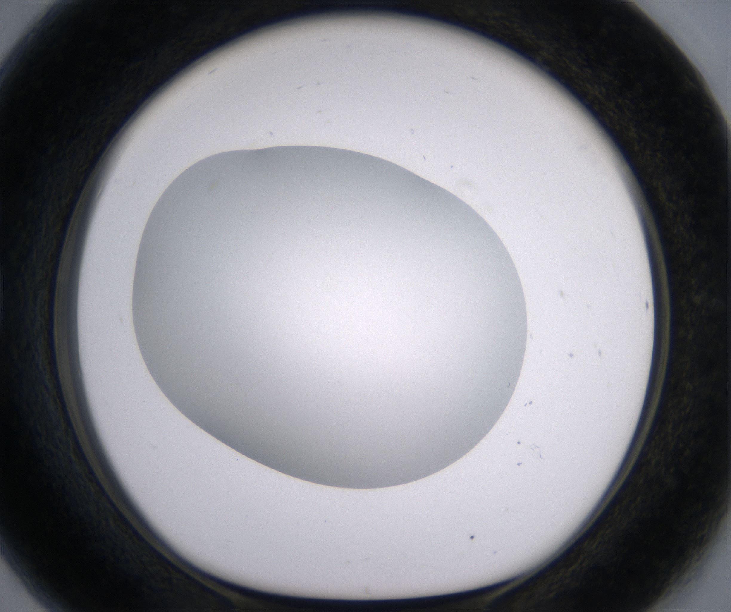 G8_HighResolution_Clear_1.jpg