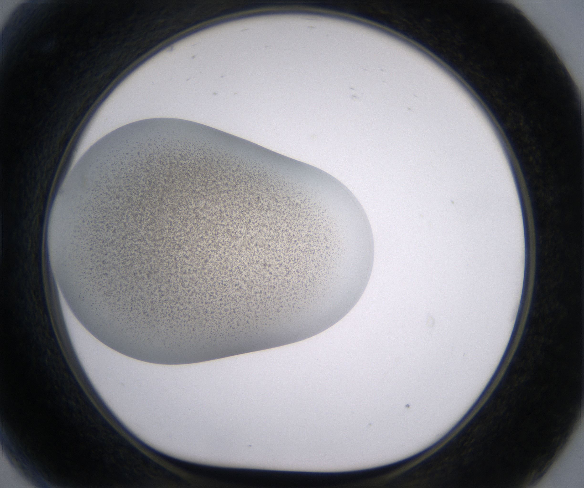 G9_HighResolution_Precipitate_1.jpg