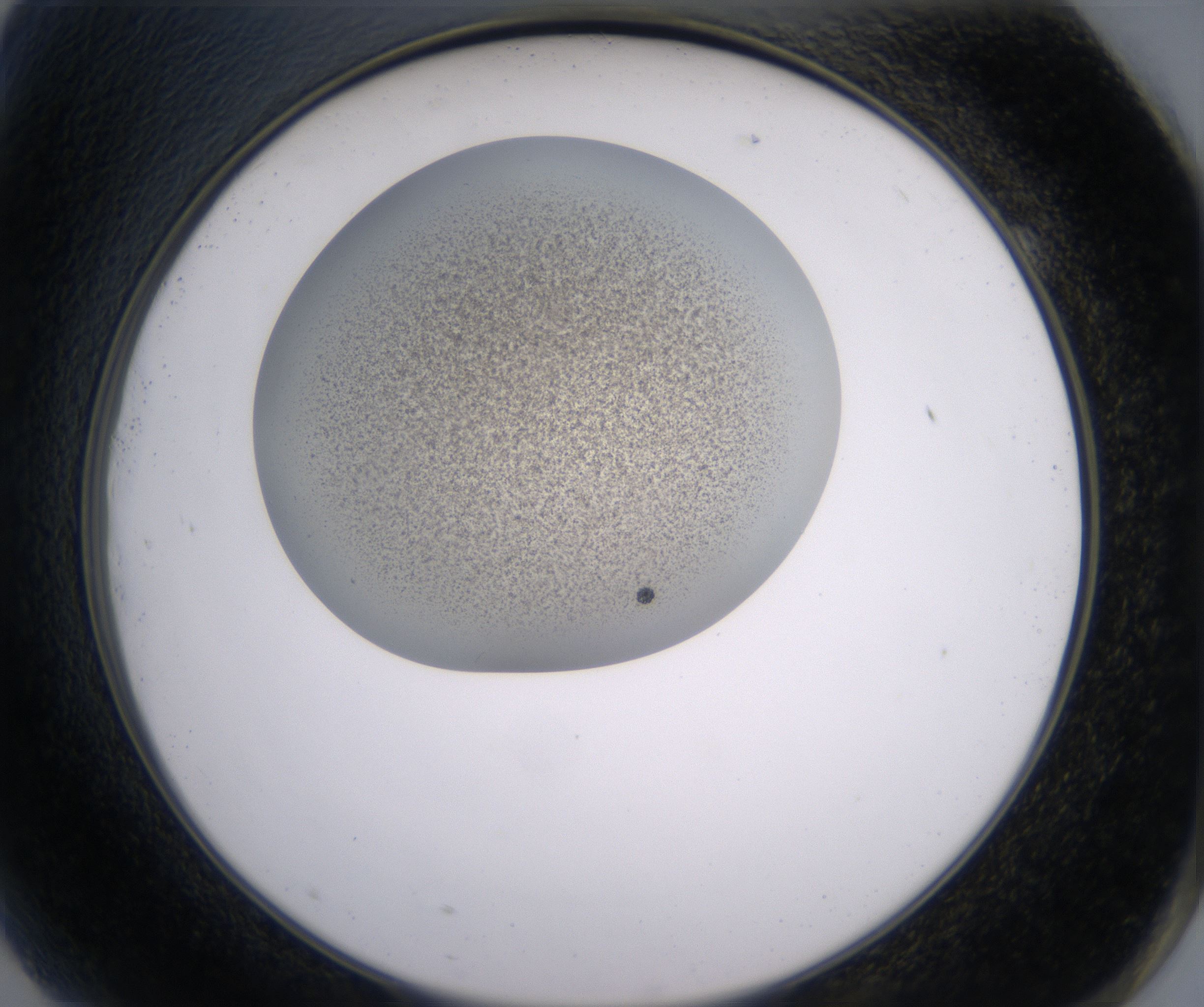 G9_HighResolution_Precipitate_2.jpg