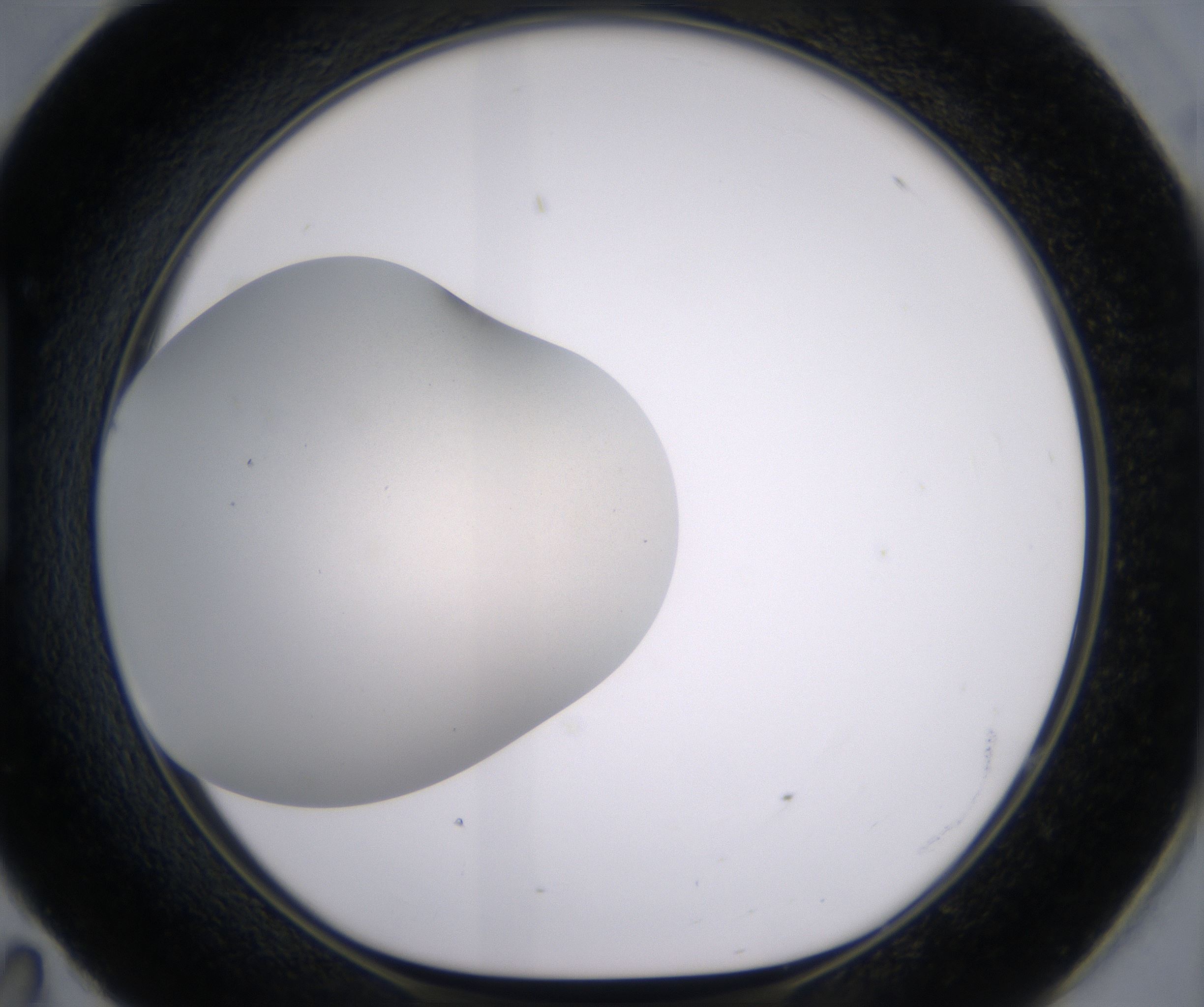 H11_HighResolution_Clear_1.jpg