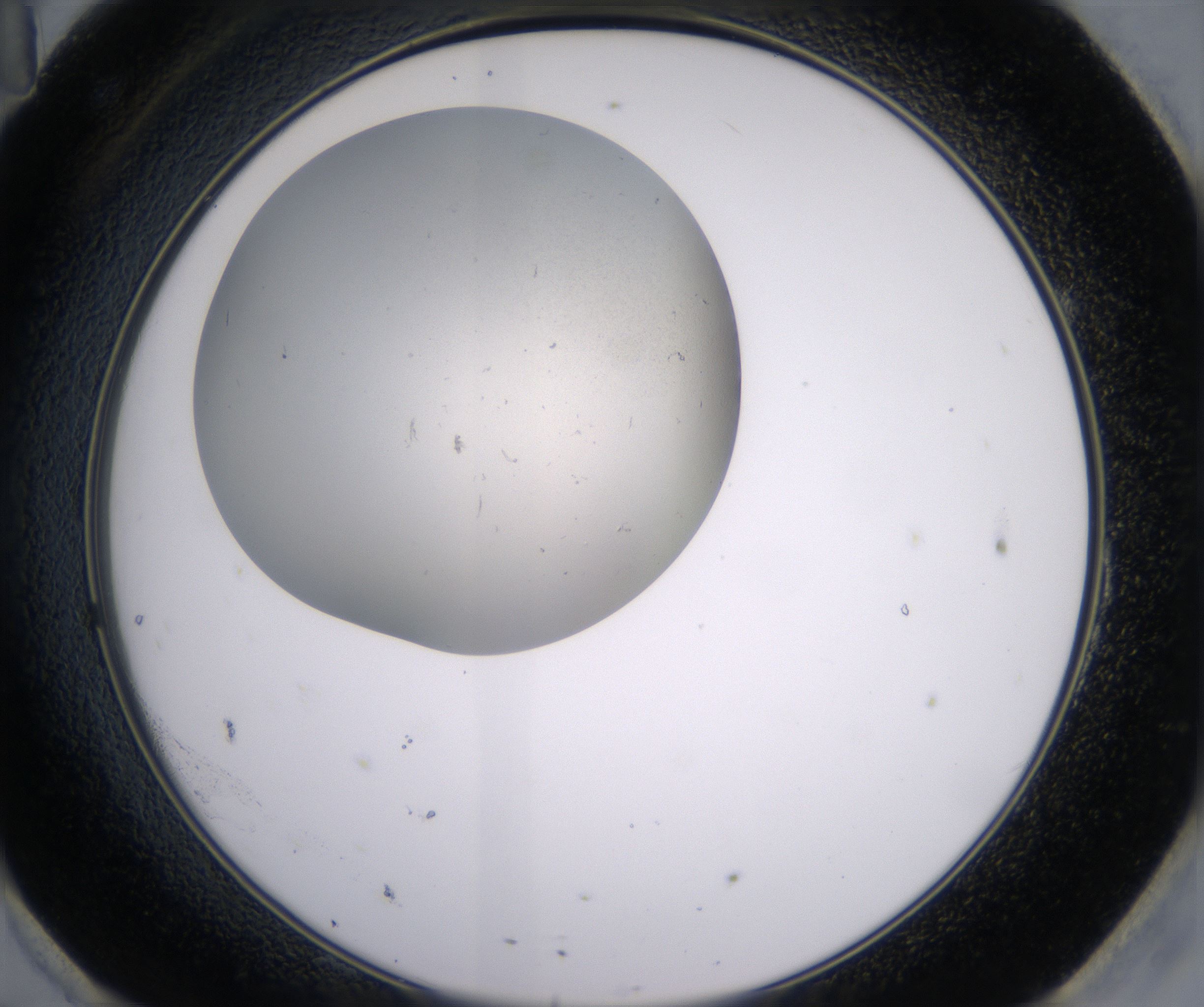 H11_HighResolution_Precipitate_2.jpg