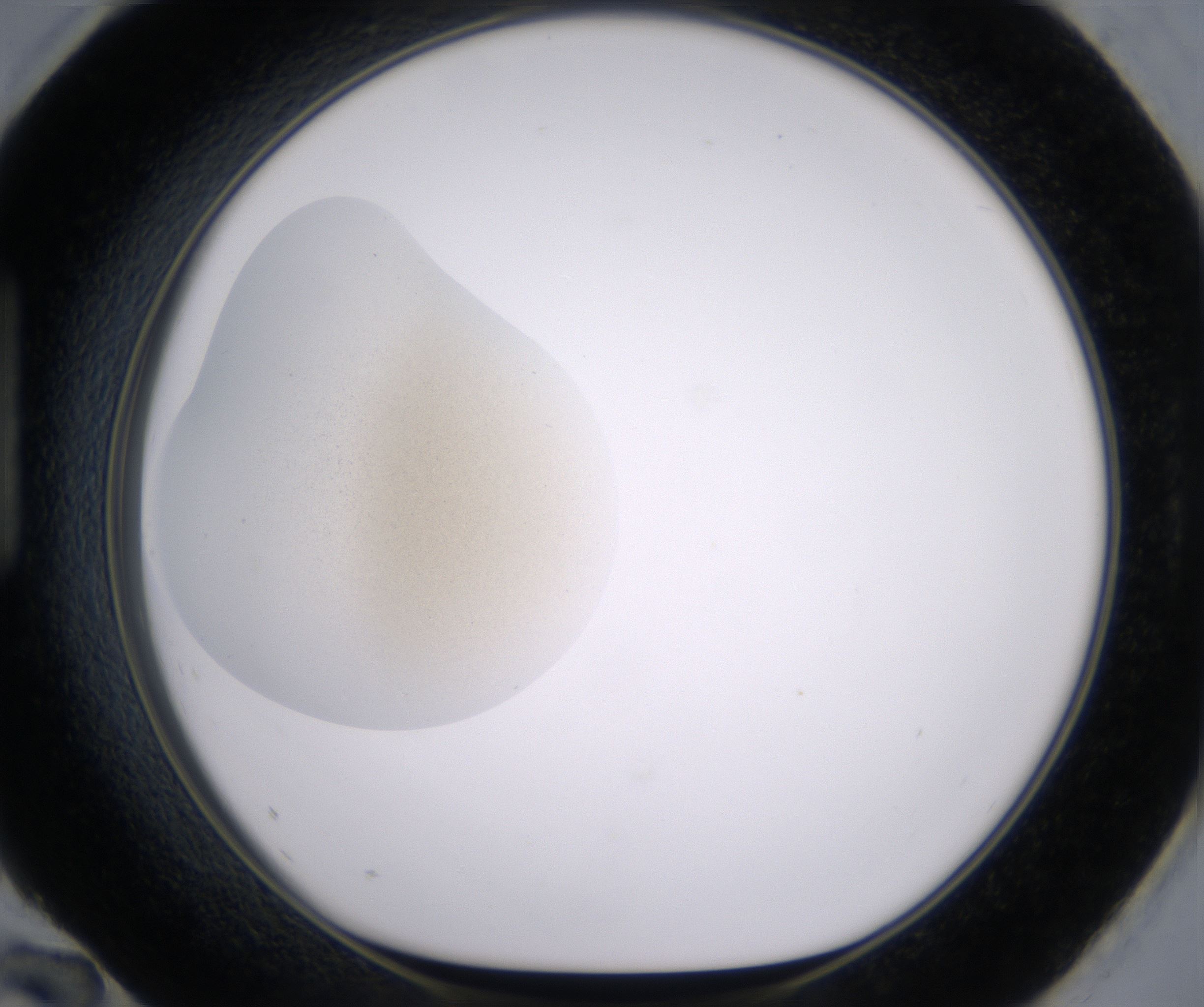 H12_HighResolution_Precipitate_1.jpg