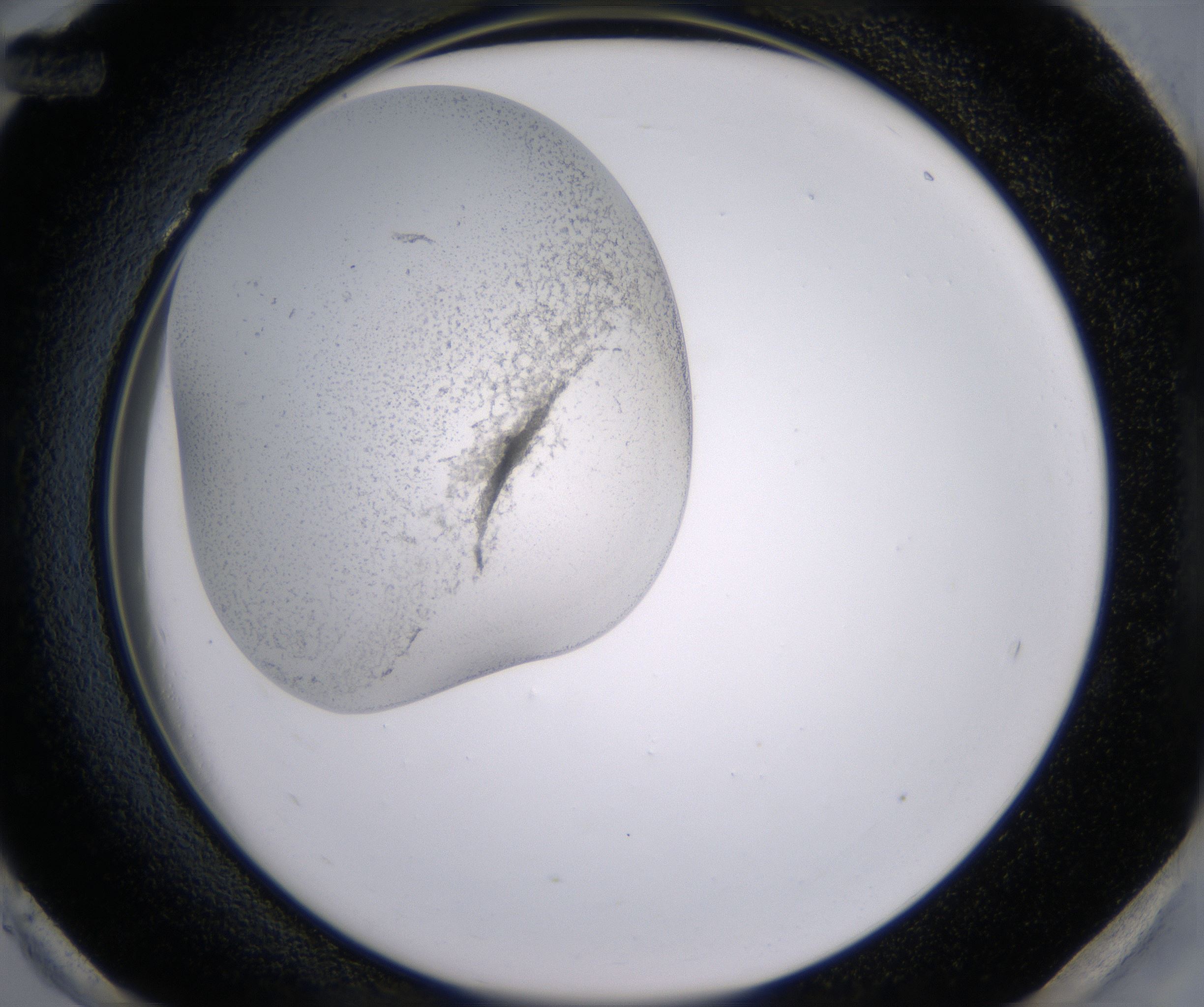 H12_HighResolution_Precipitate_2.jpg