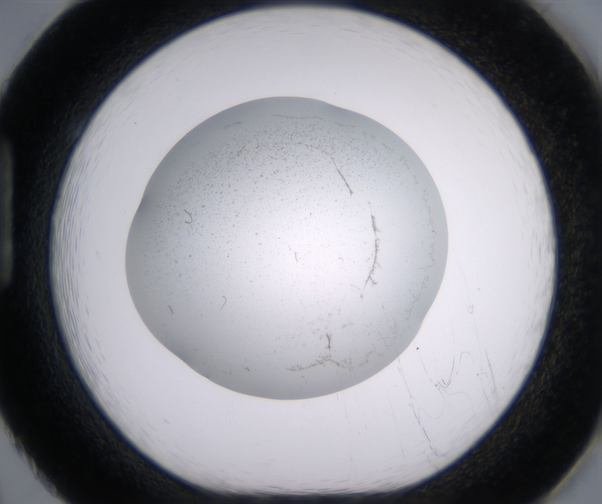 H2_HighResolution_Precipitate_1.jpg