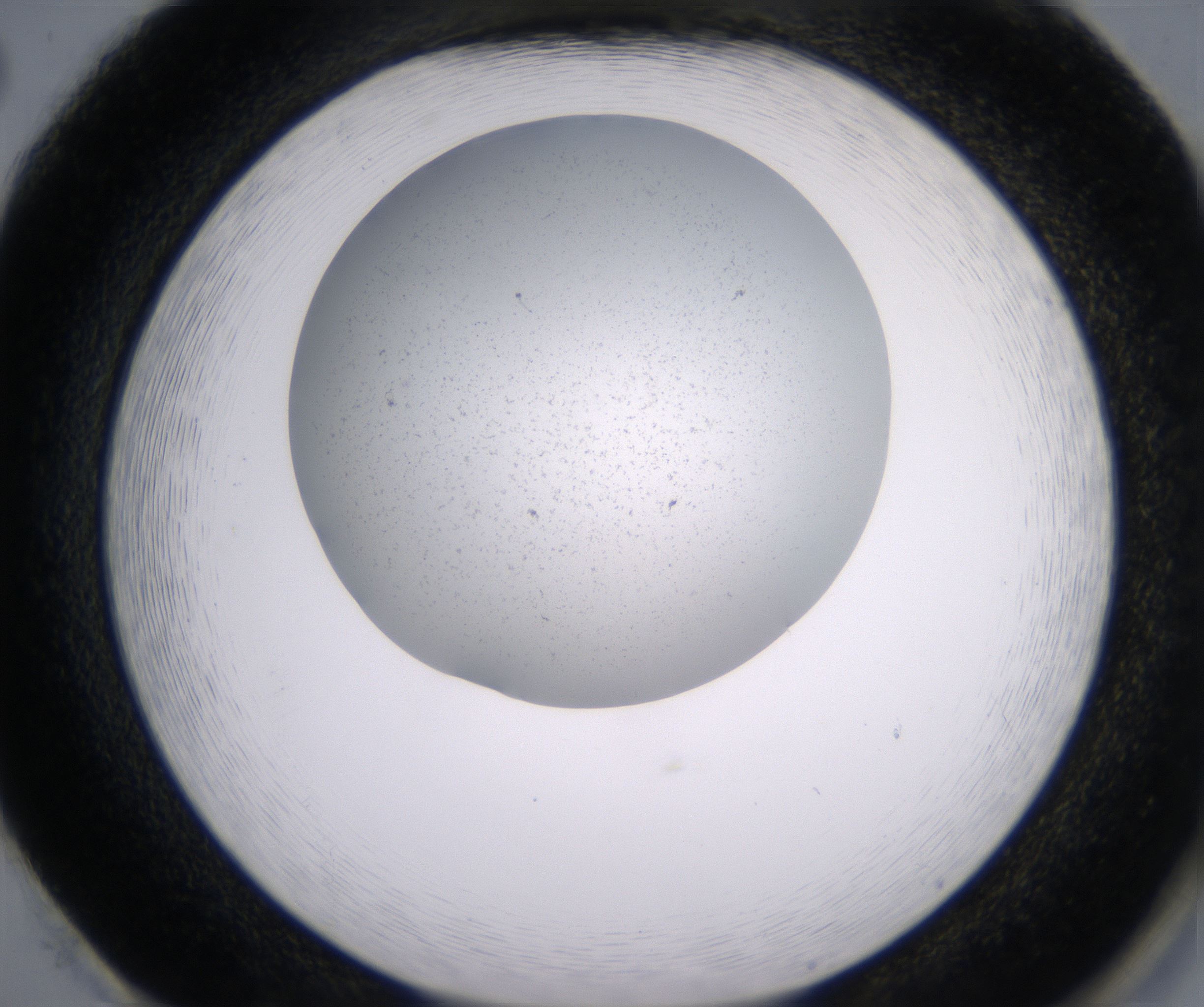 H2_HighResolution_Precipitate_2.jpg