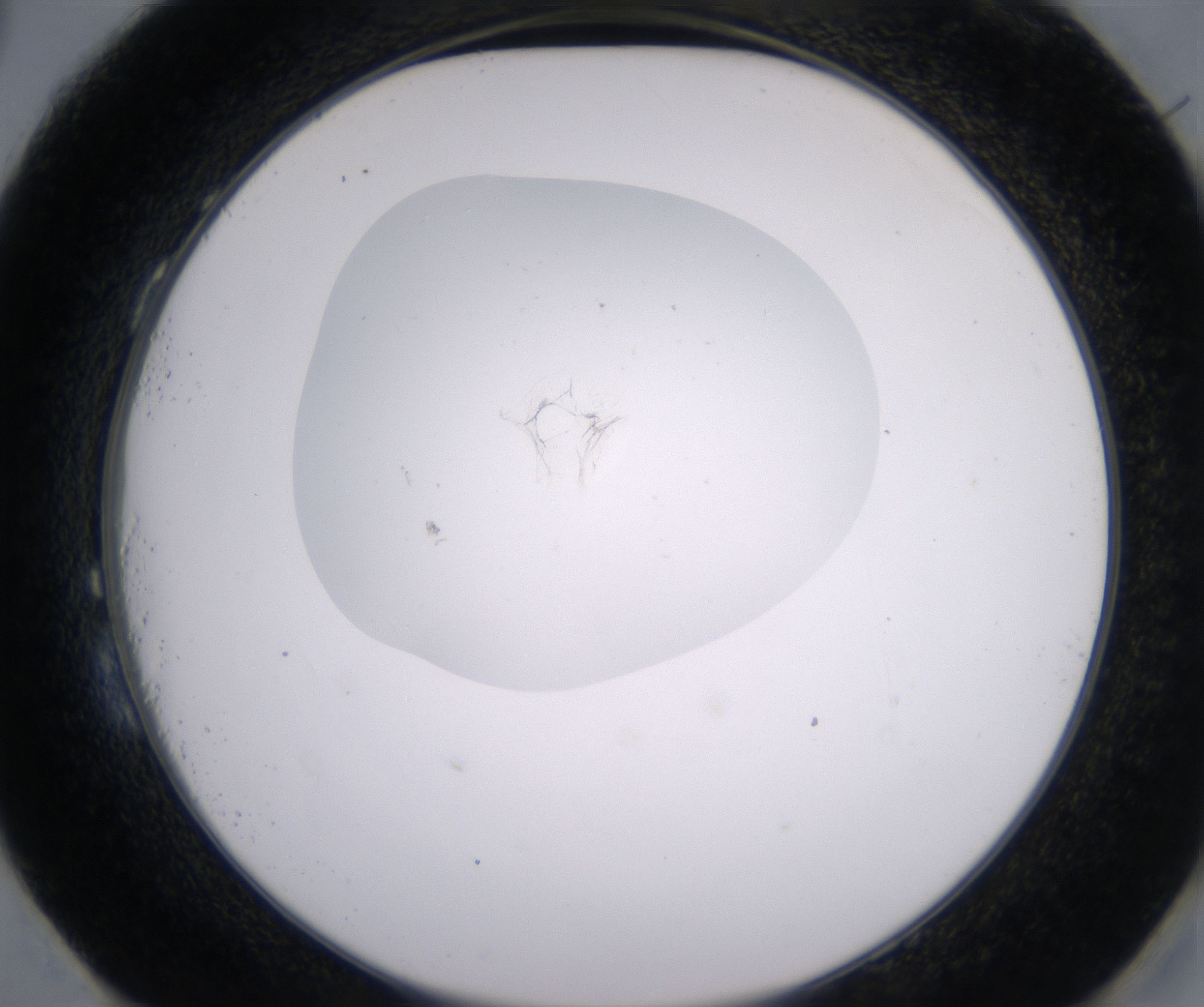 H3_HighResolution_Precipitate_2.jpg