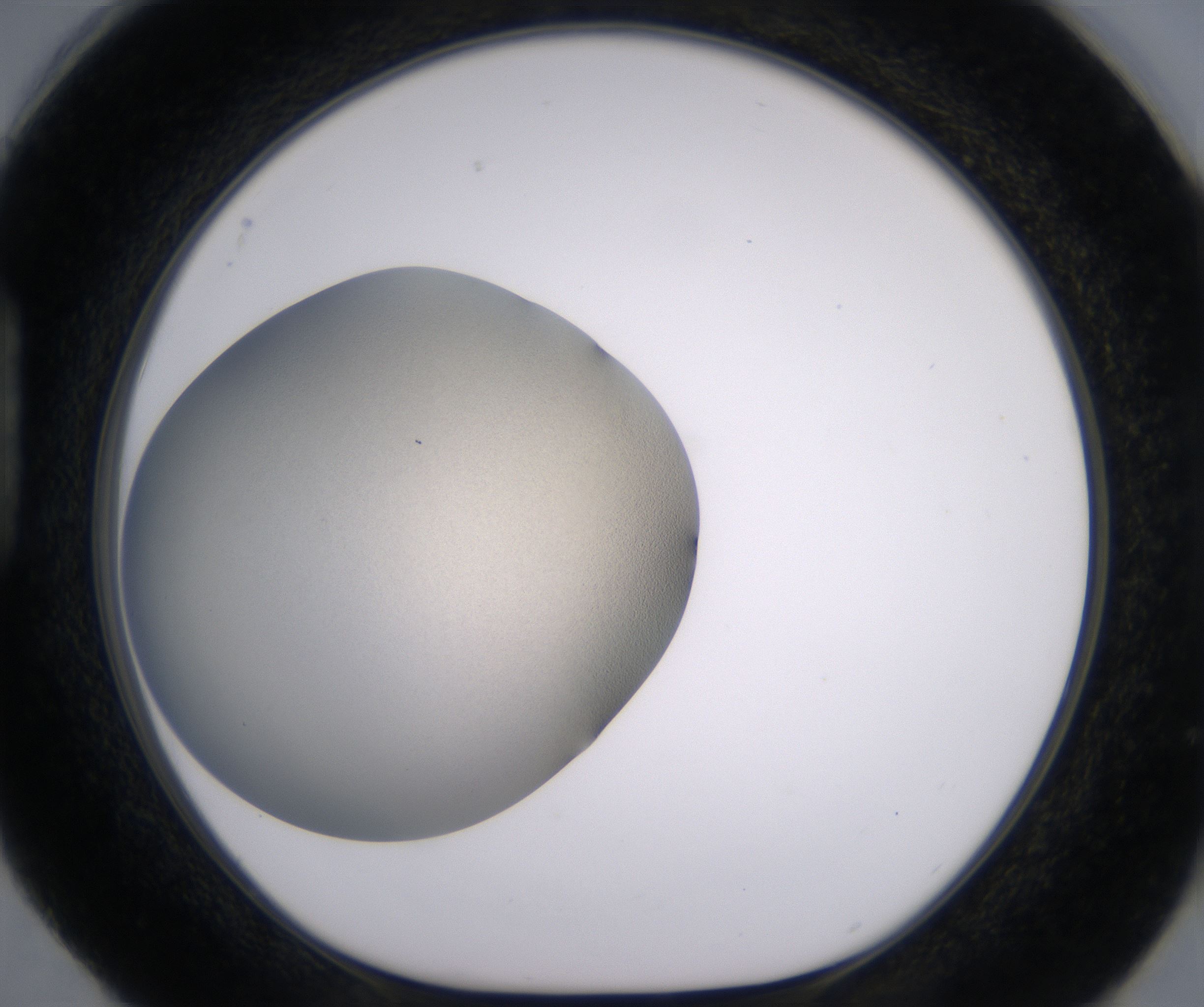 H4_HighResolution_Precipitate_1.jpg