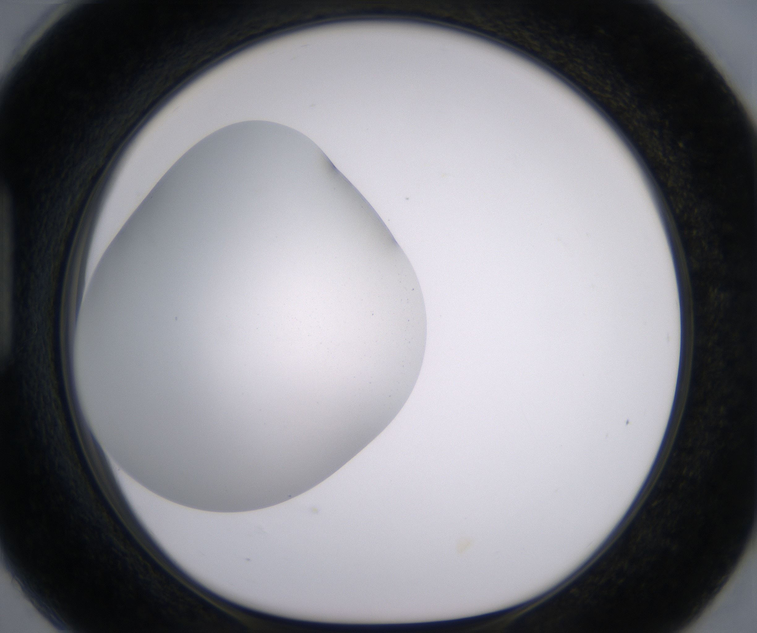 H6_HighResolution_Clear_1.jpg