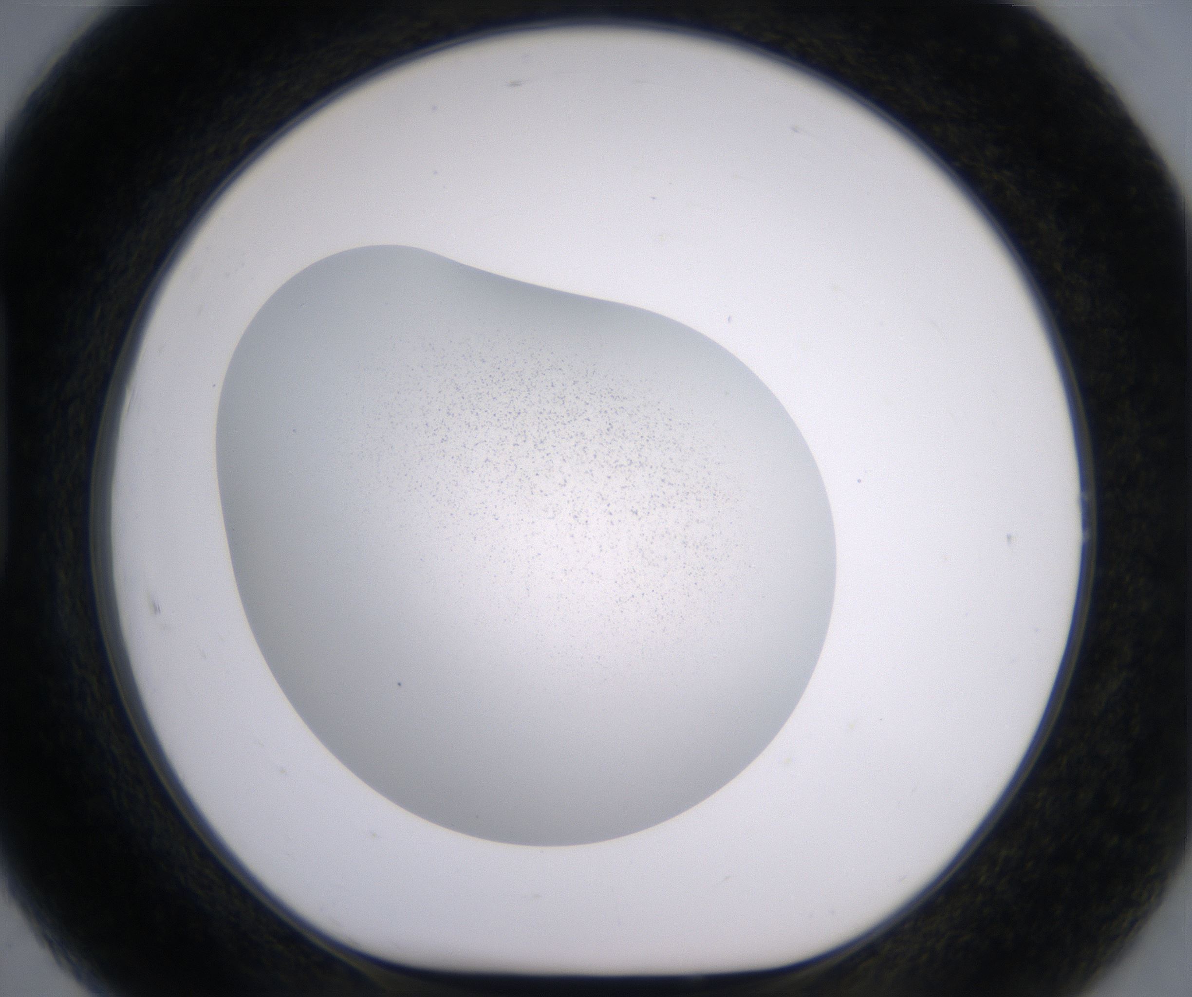 H7_HighResolution_Clear_1.jpg