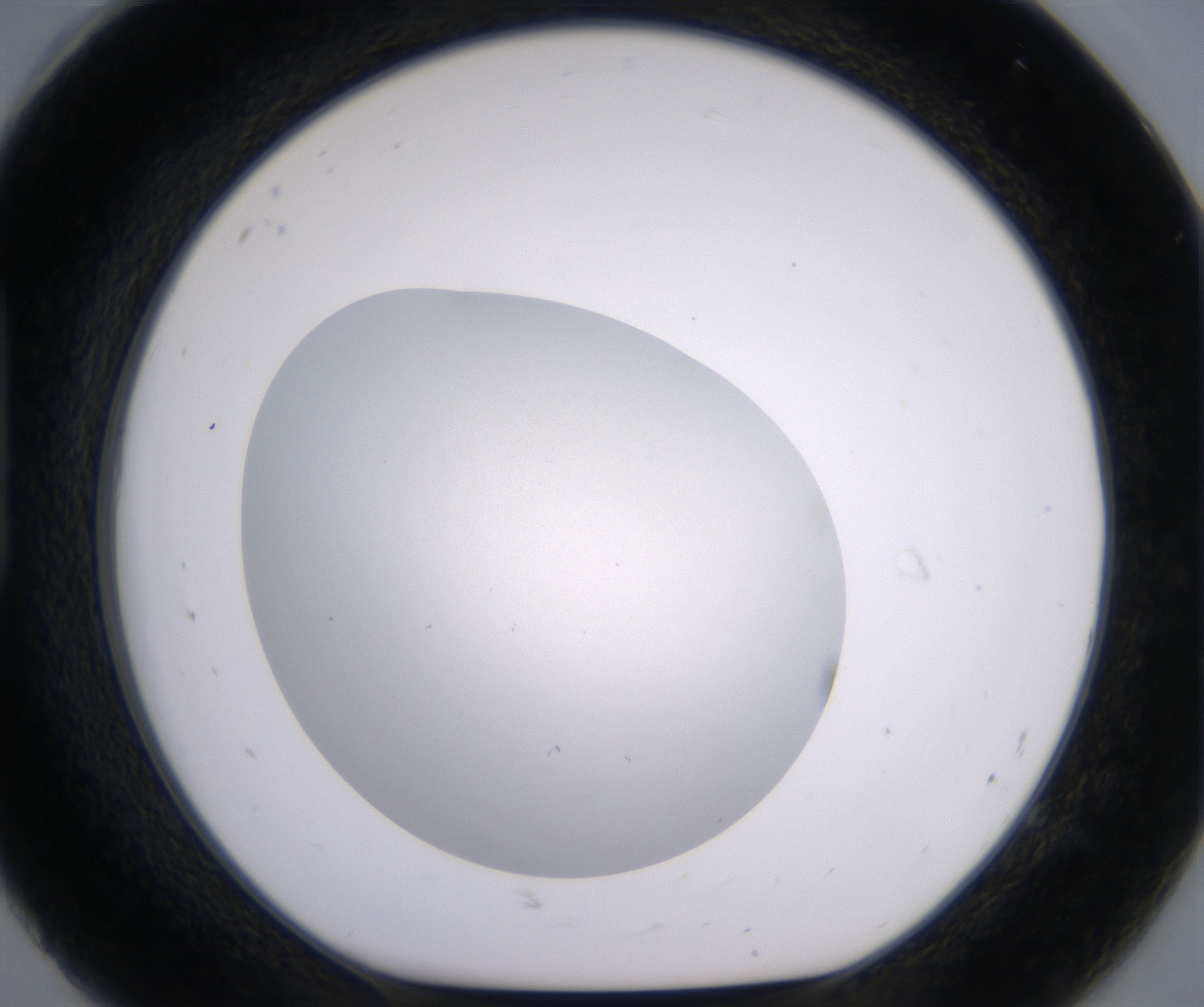 H8_HighResolution_Clear_1.jpg