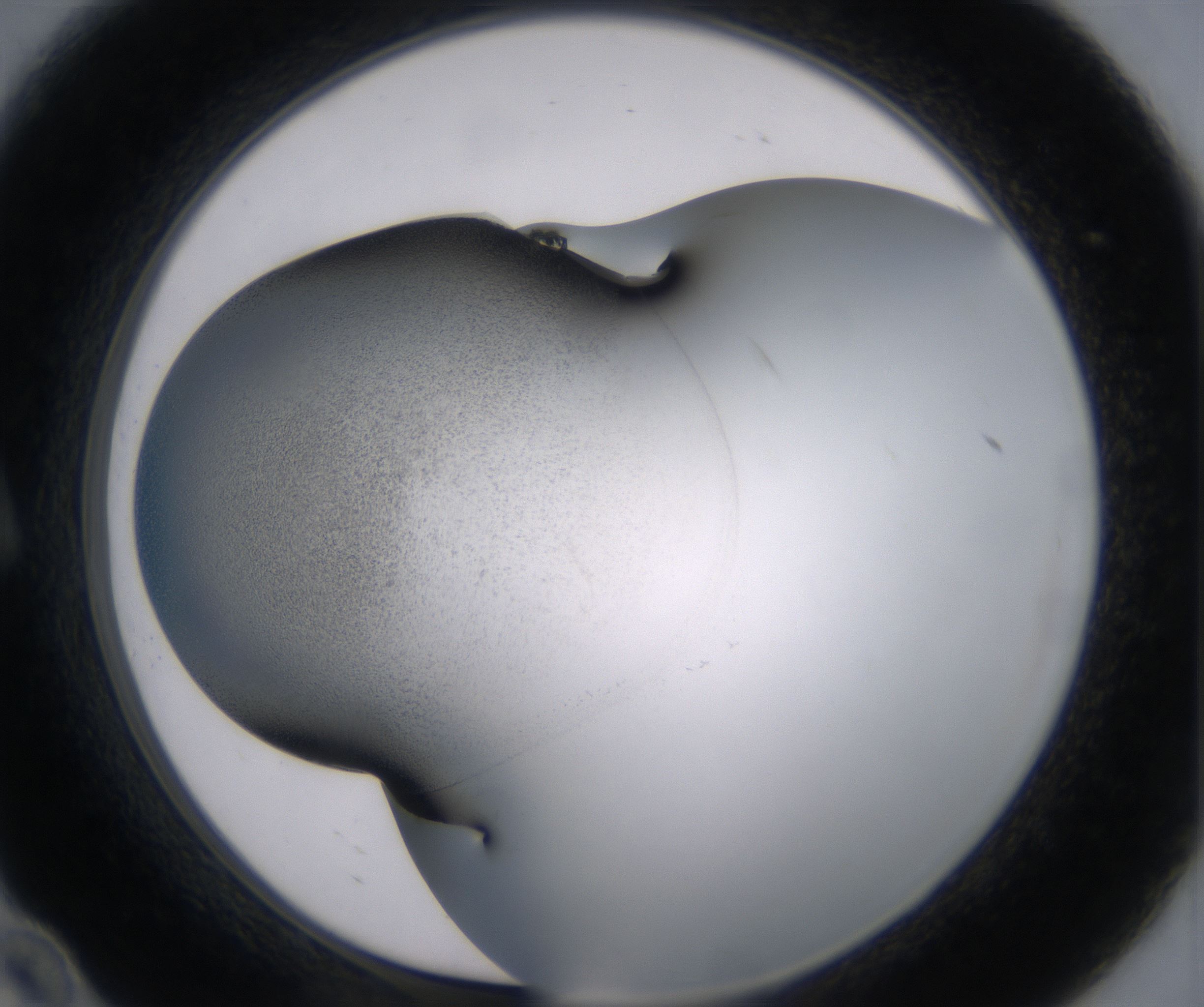 A10_HighResolution_Precipitate_1.jpg