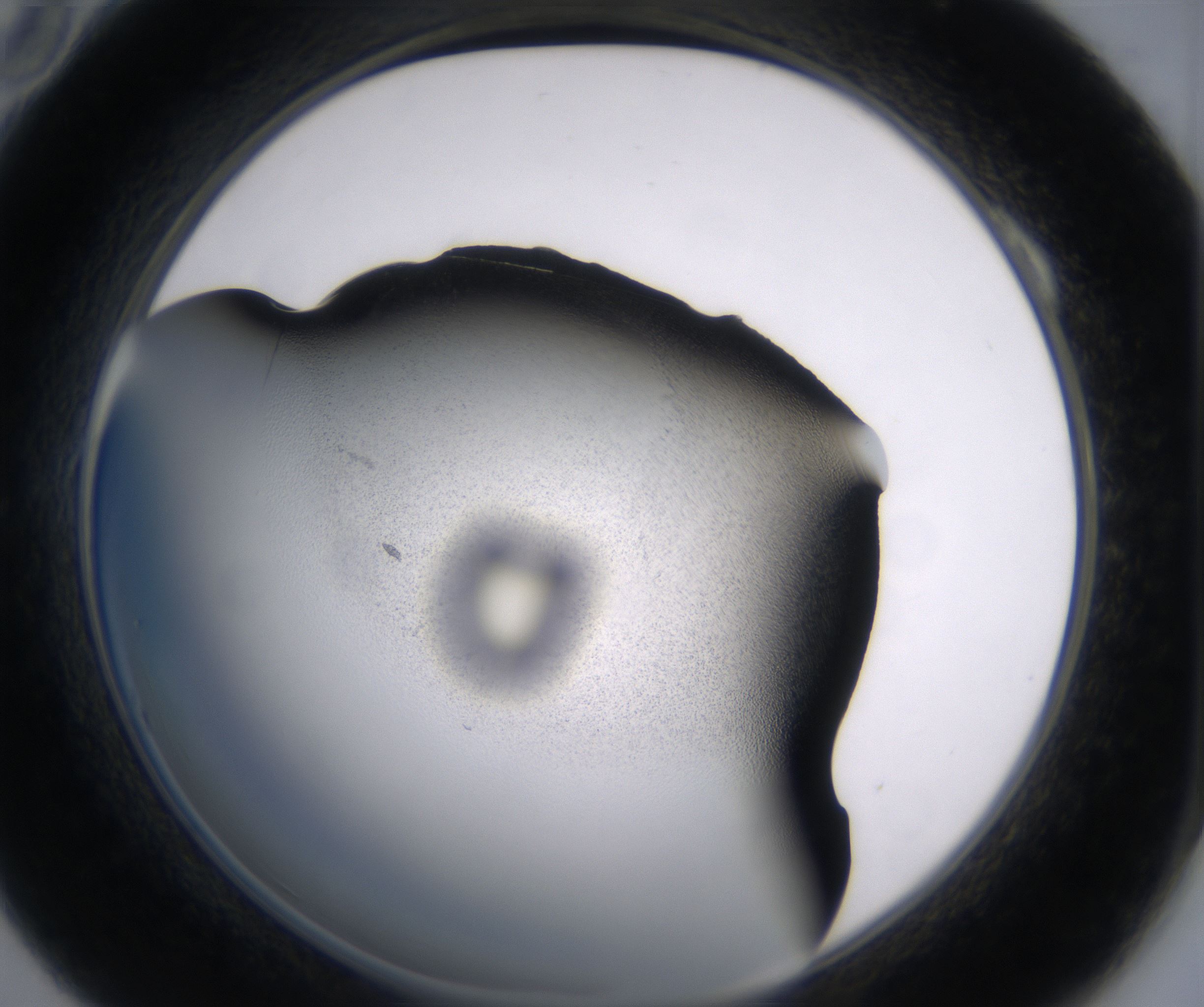 A10_HighResolution_Precipitate_2.jpg