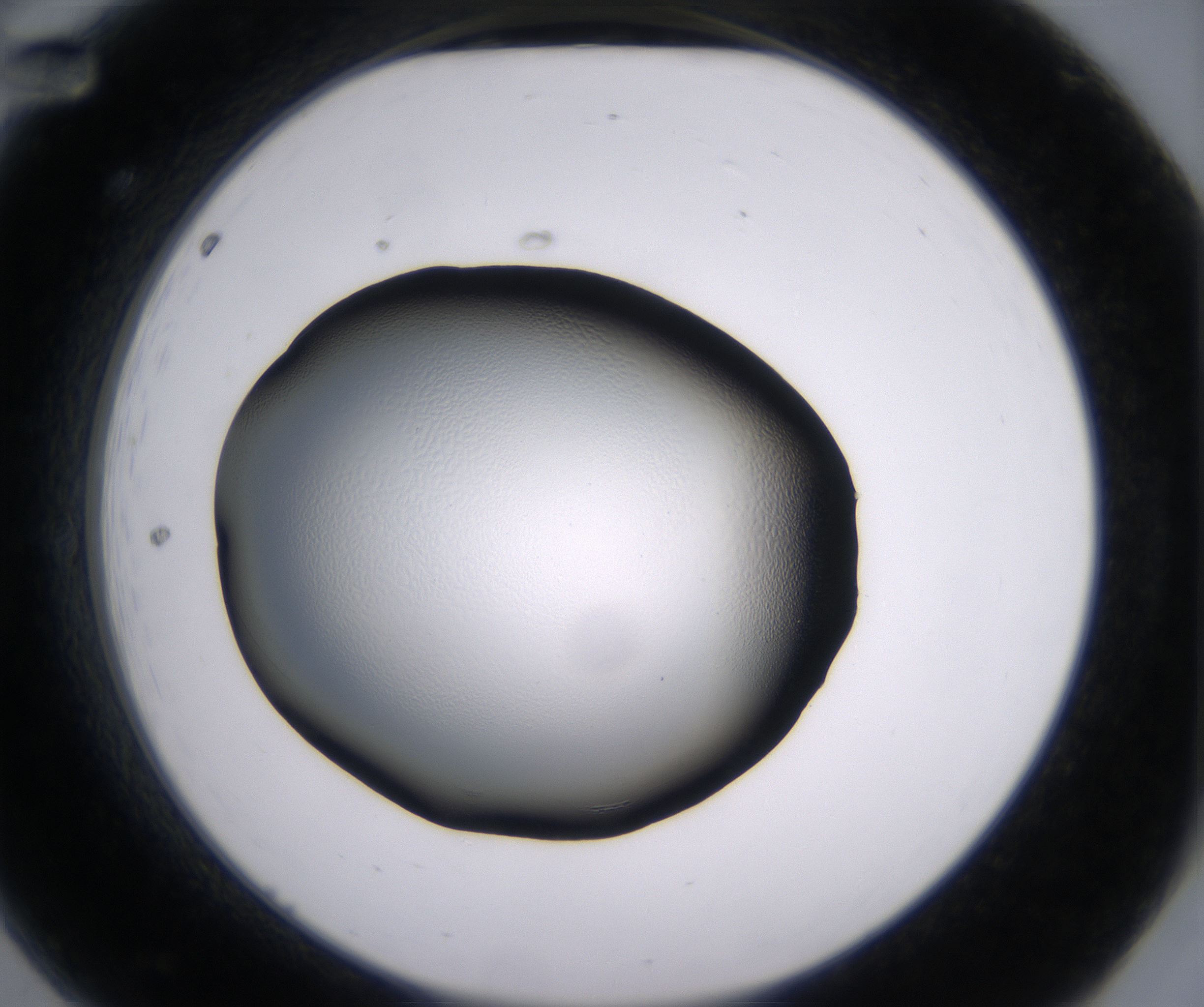 A12_HighResolution_Clear_2.jpg