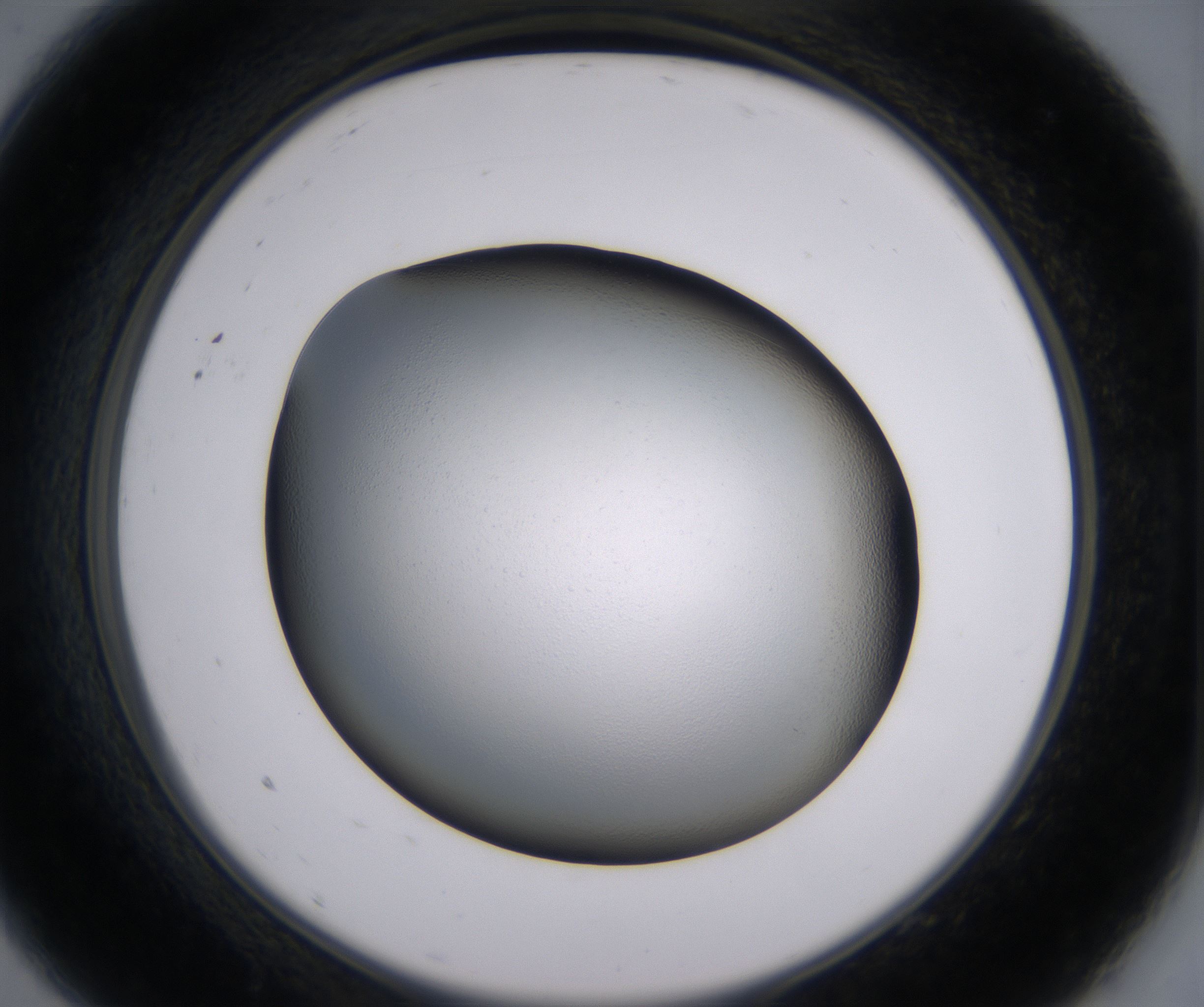 A9_HighResolution_Clear_2.jpg