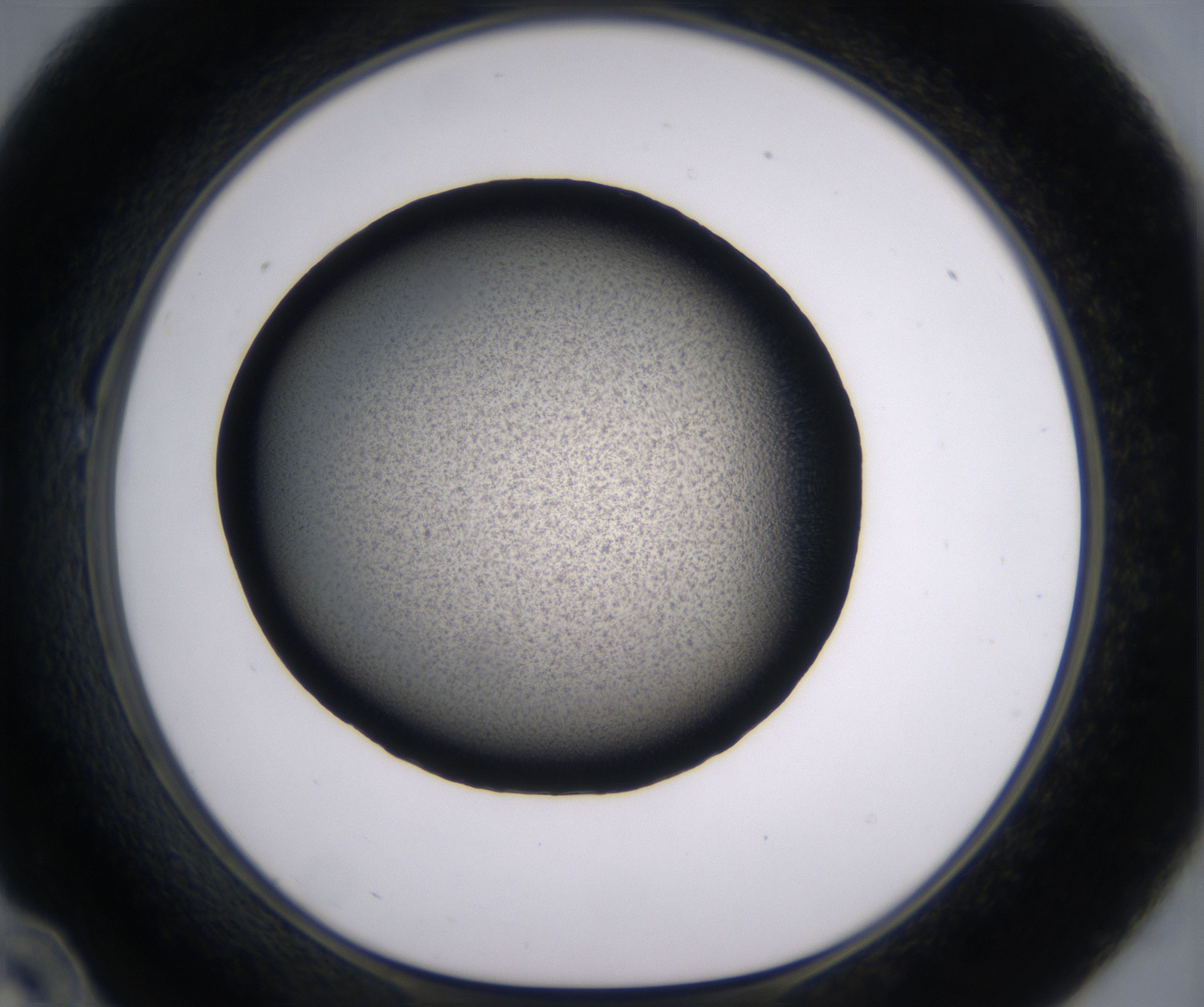 B10_HighResolution_Precipitate_1.jpg