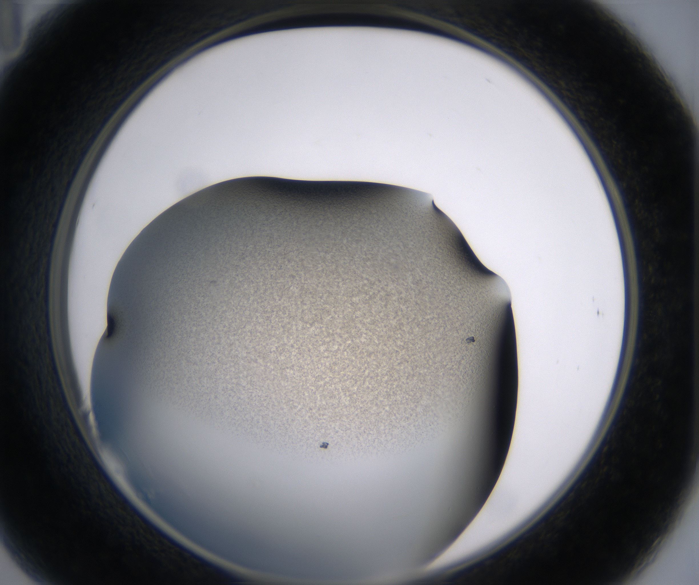 B11_HighResolution_Precipitate_2.jpg