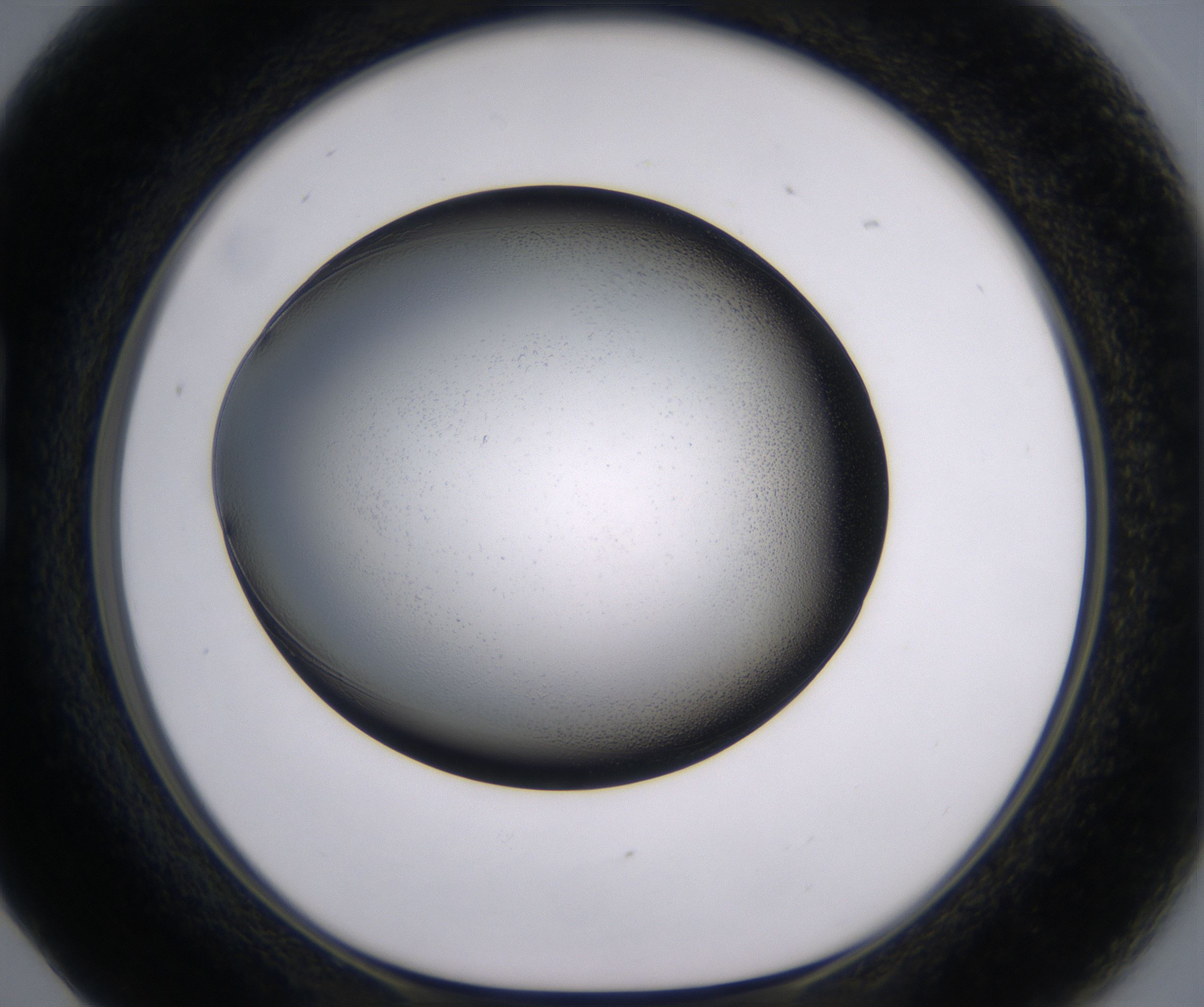 B5_HighResolution_Clear_1.jpg