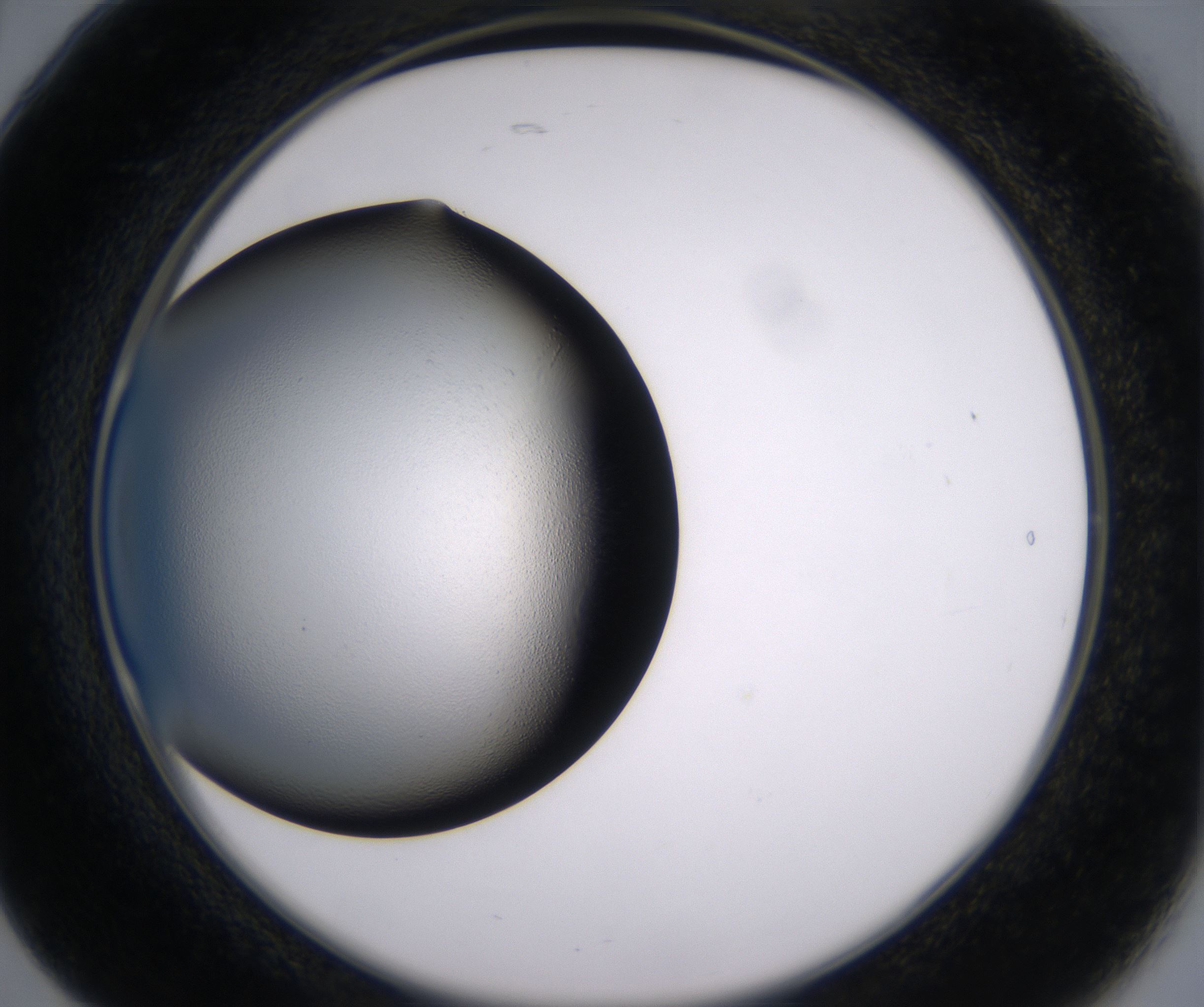 B5_HighResolution_Clear_2.jpg