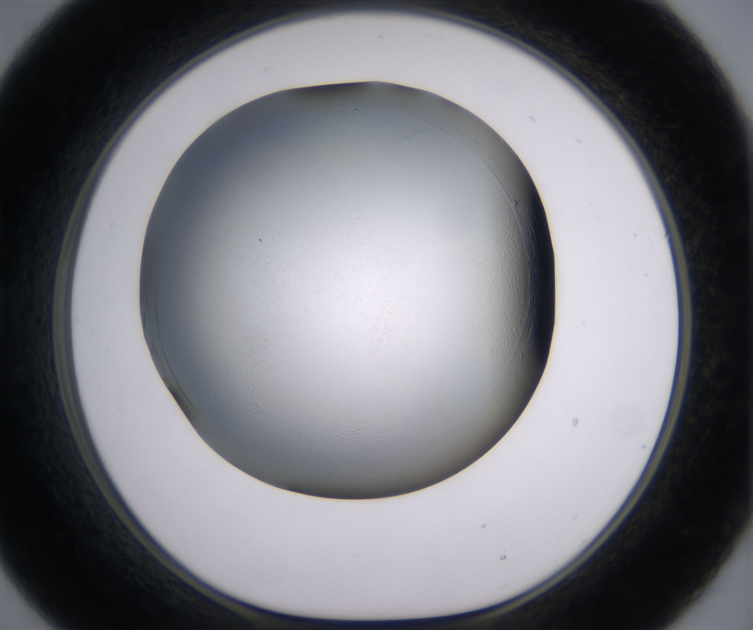 B9_HighResolution_Clear_1.jpg