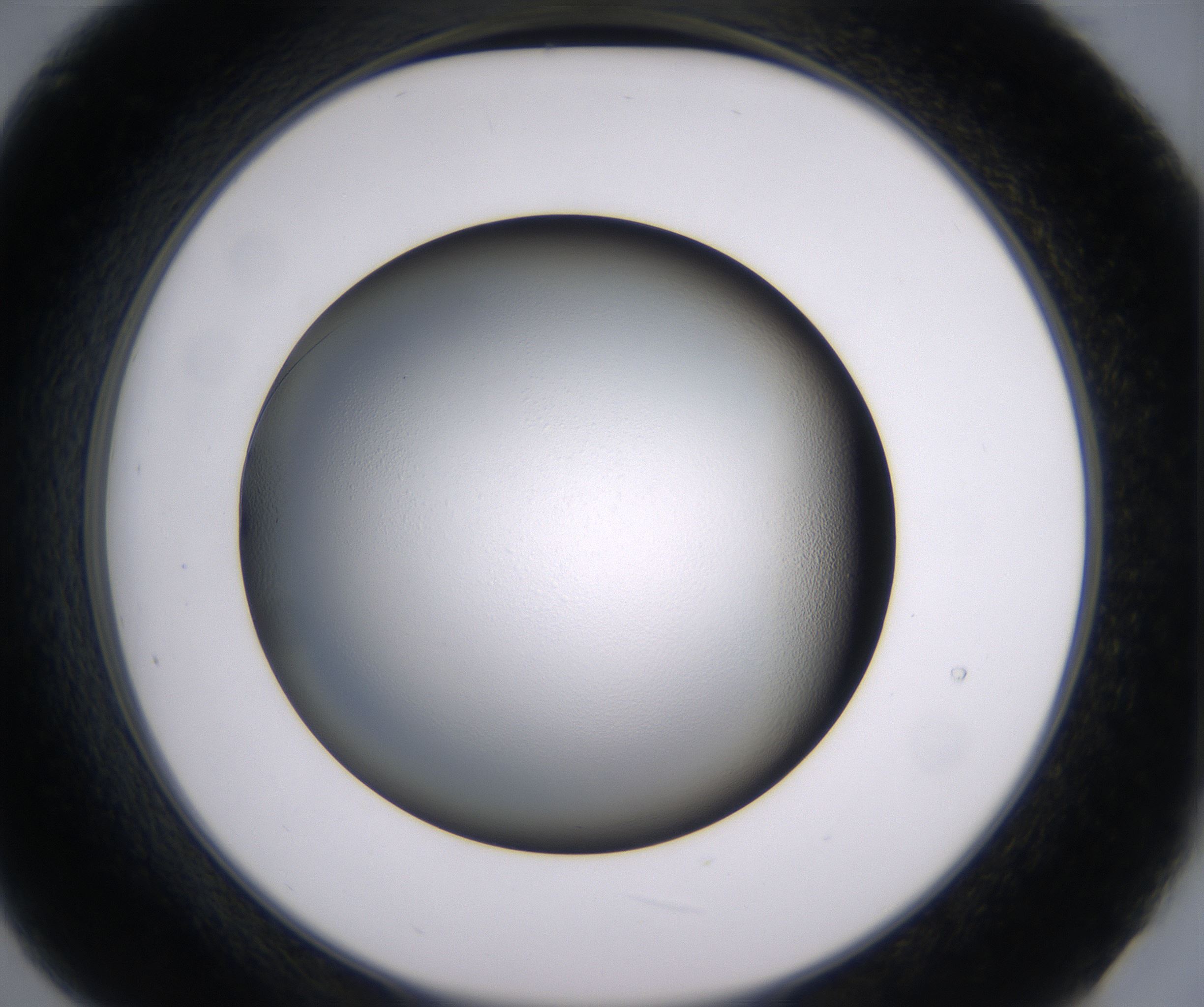 B9_HighResolution_Clear_2.jpg