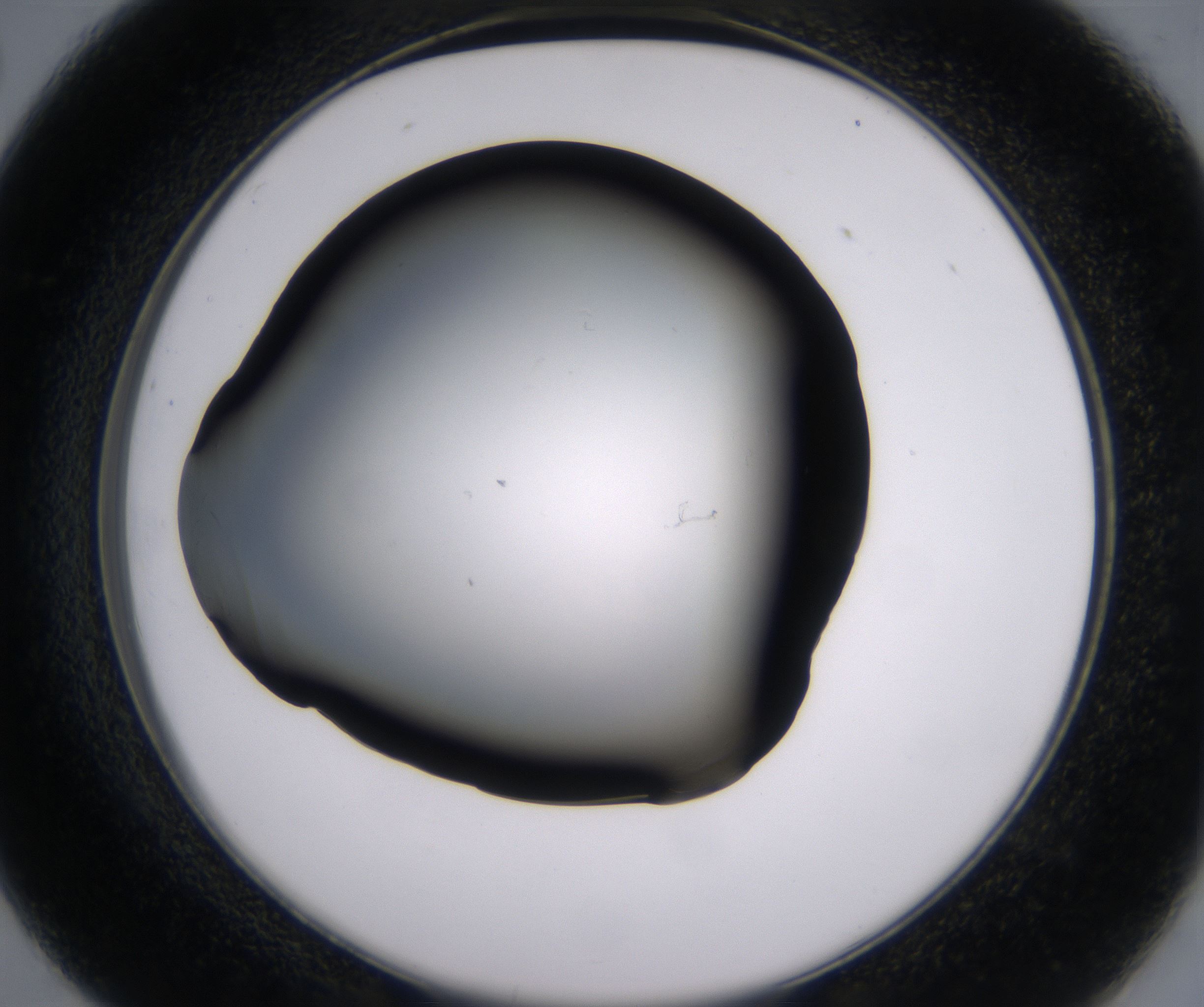 C2_HighResolution_Clear_2.jpg