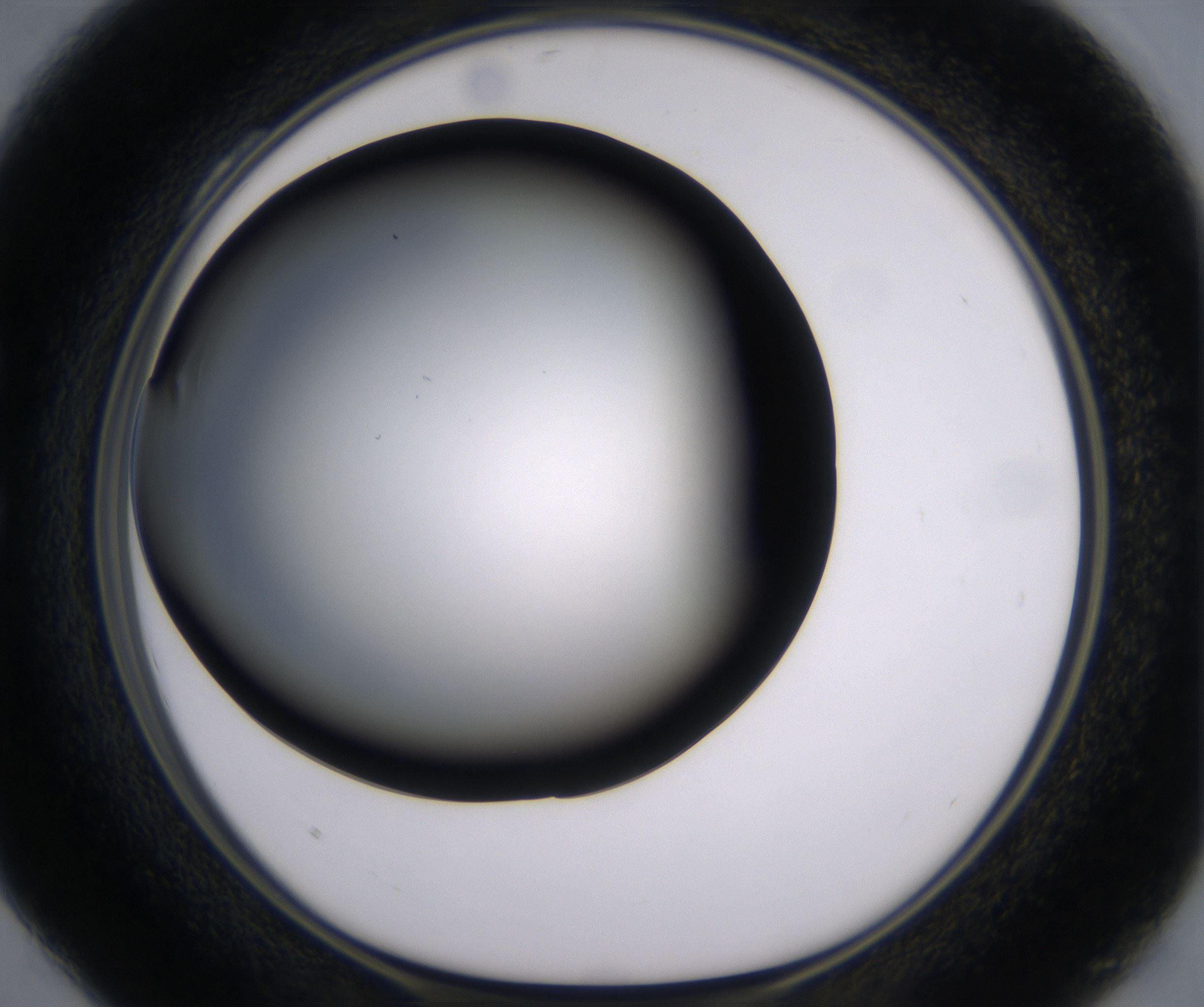 C4_HighResolution_Clear_1.jpg