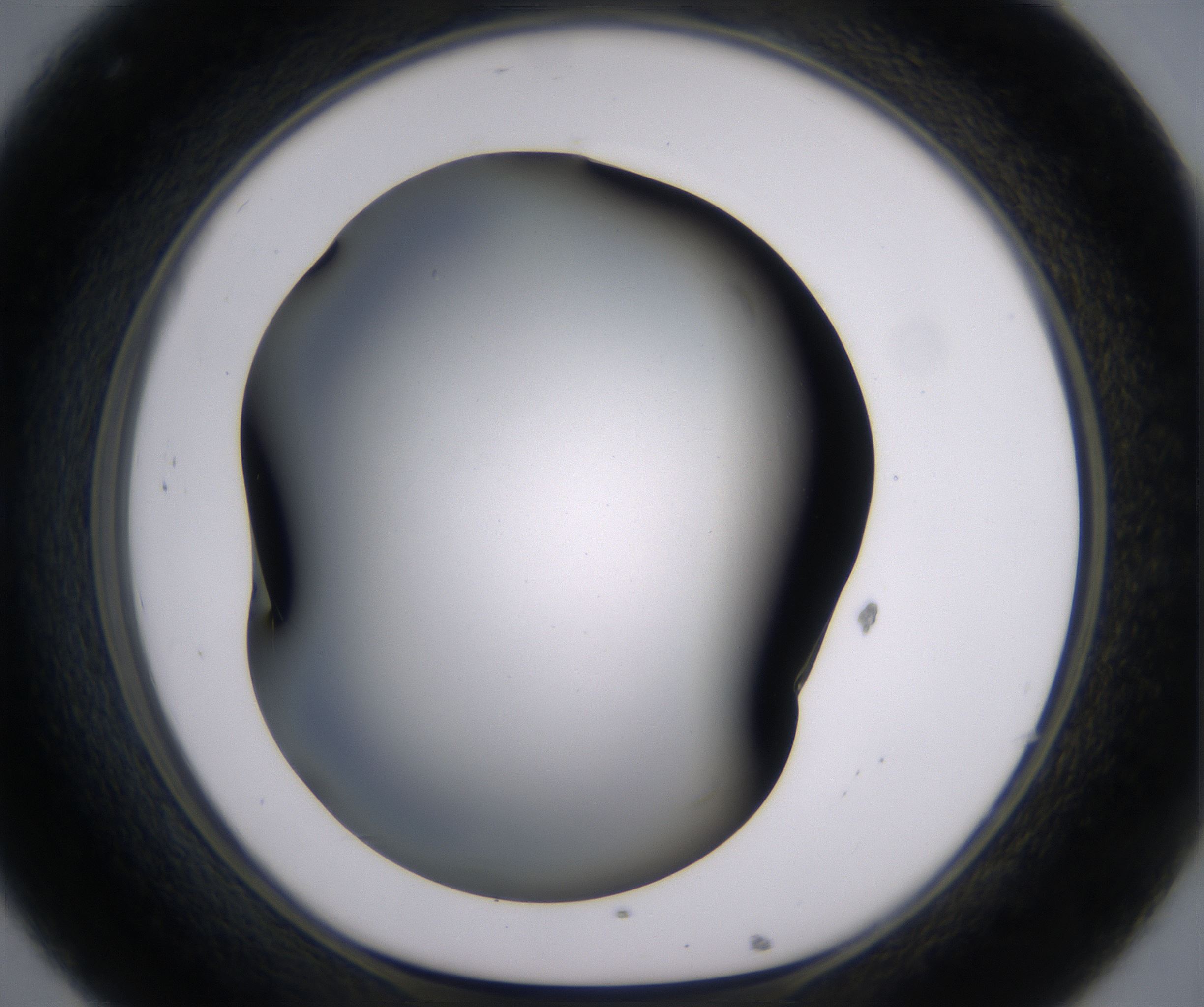 C8_HighResolution_Clear_1.jpg