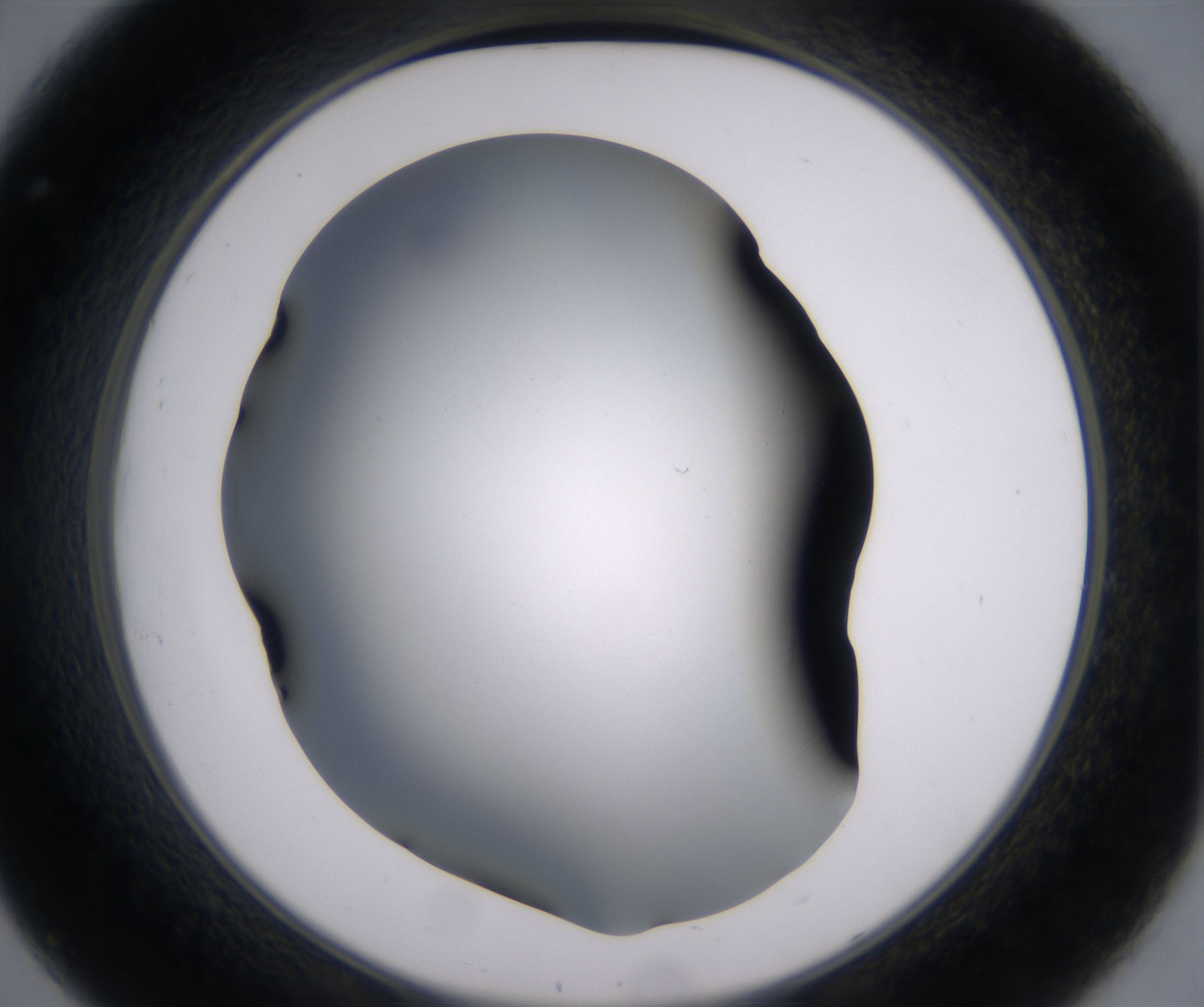 C8_HighResolution_Clear_2.jpg