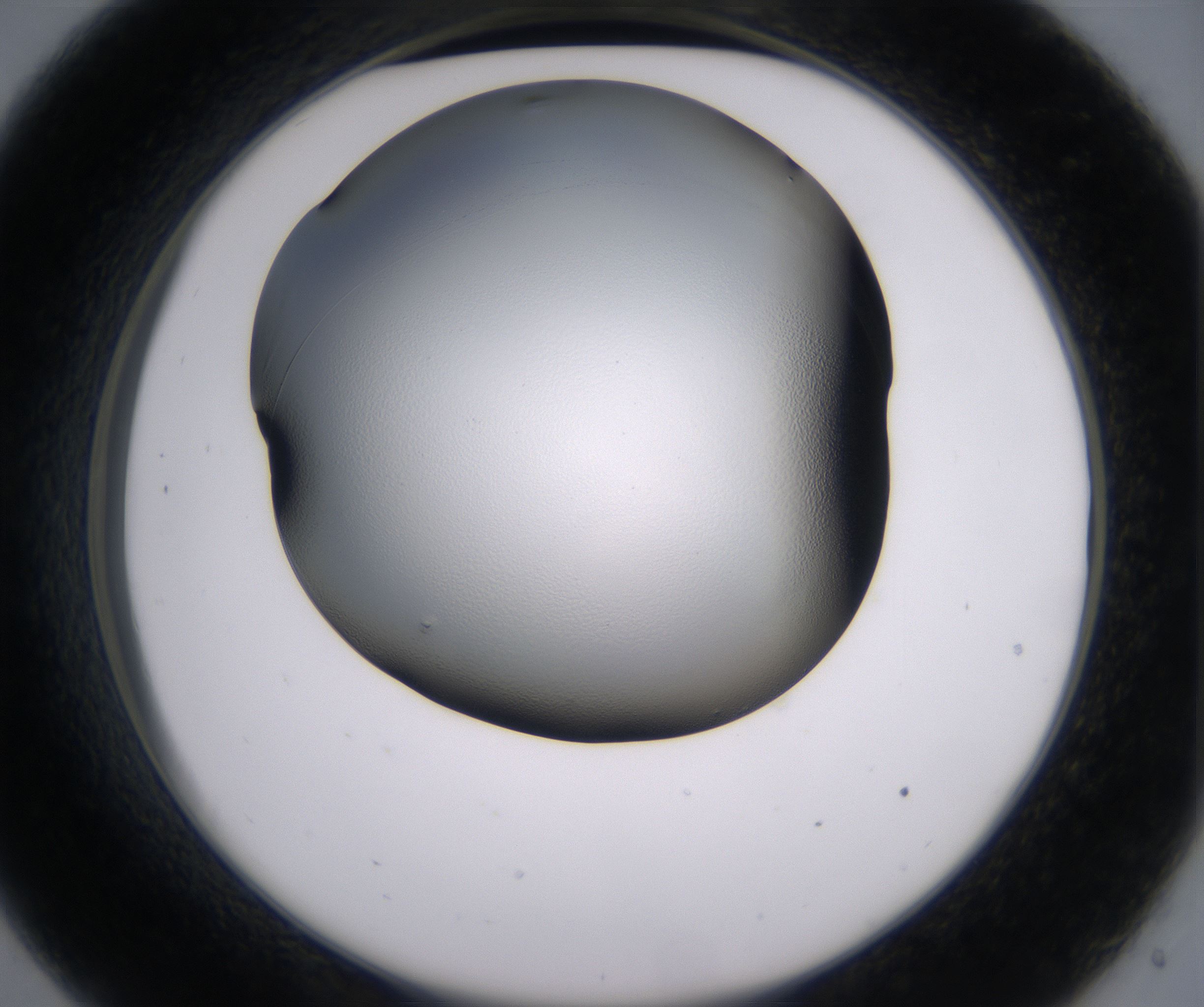 C9_HighResolution_Clear_2.jpg
