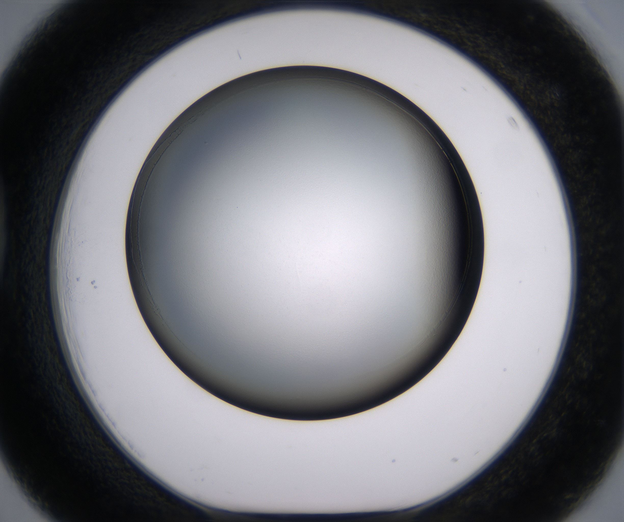 D3_HighResolution_Clear_1.jpg