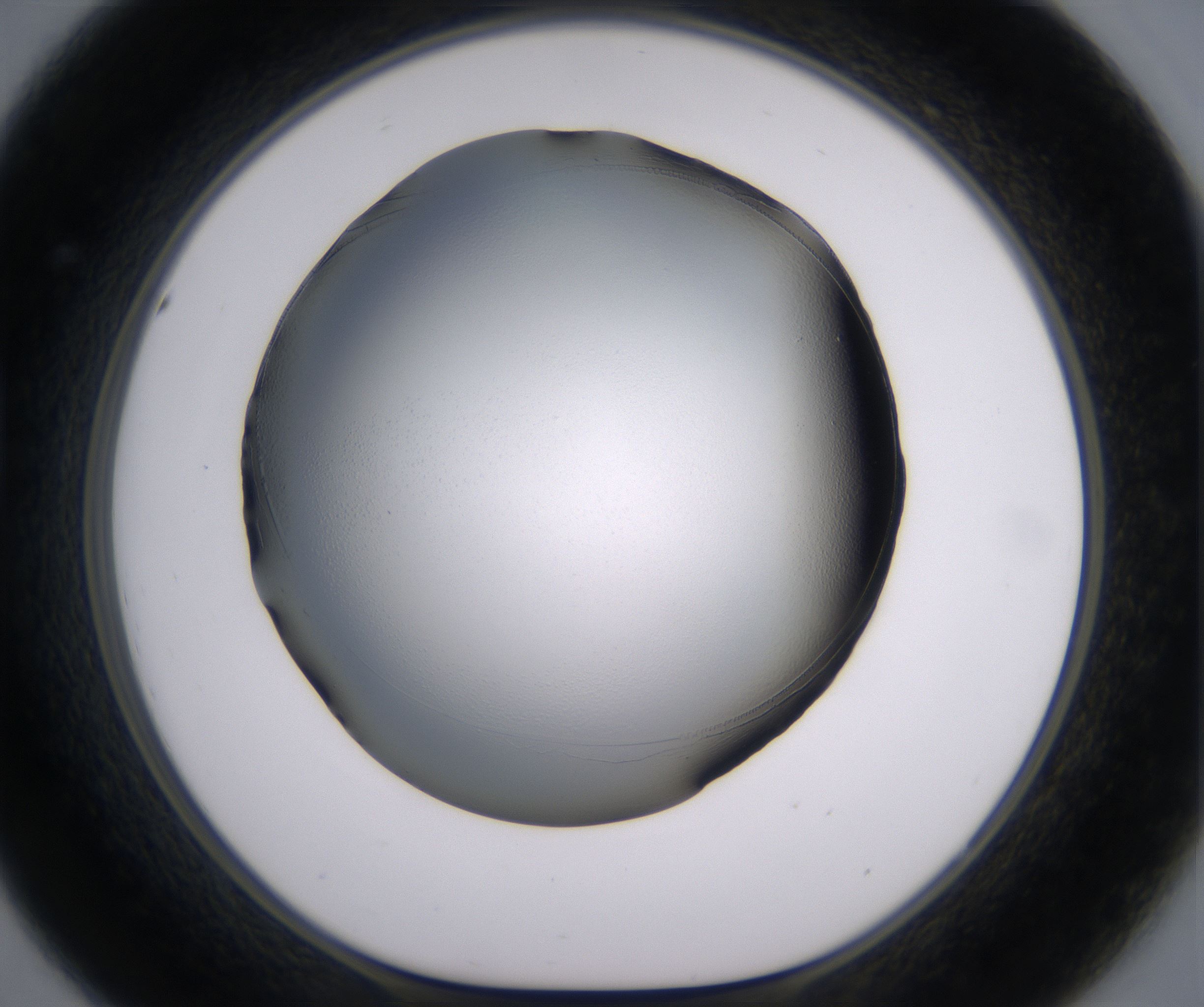 D8_HighResolution_Clear_1.jpg