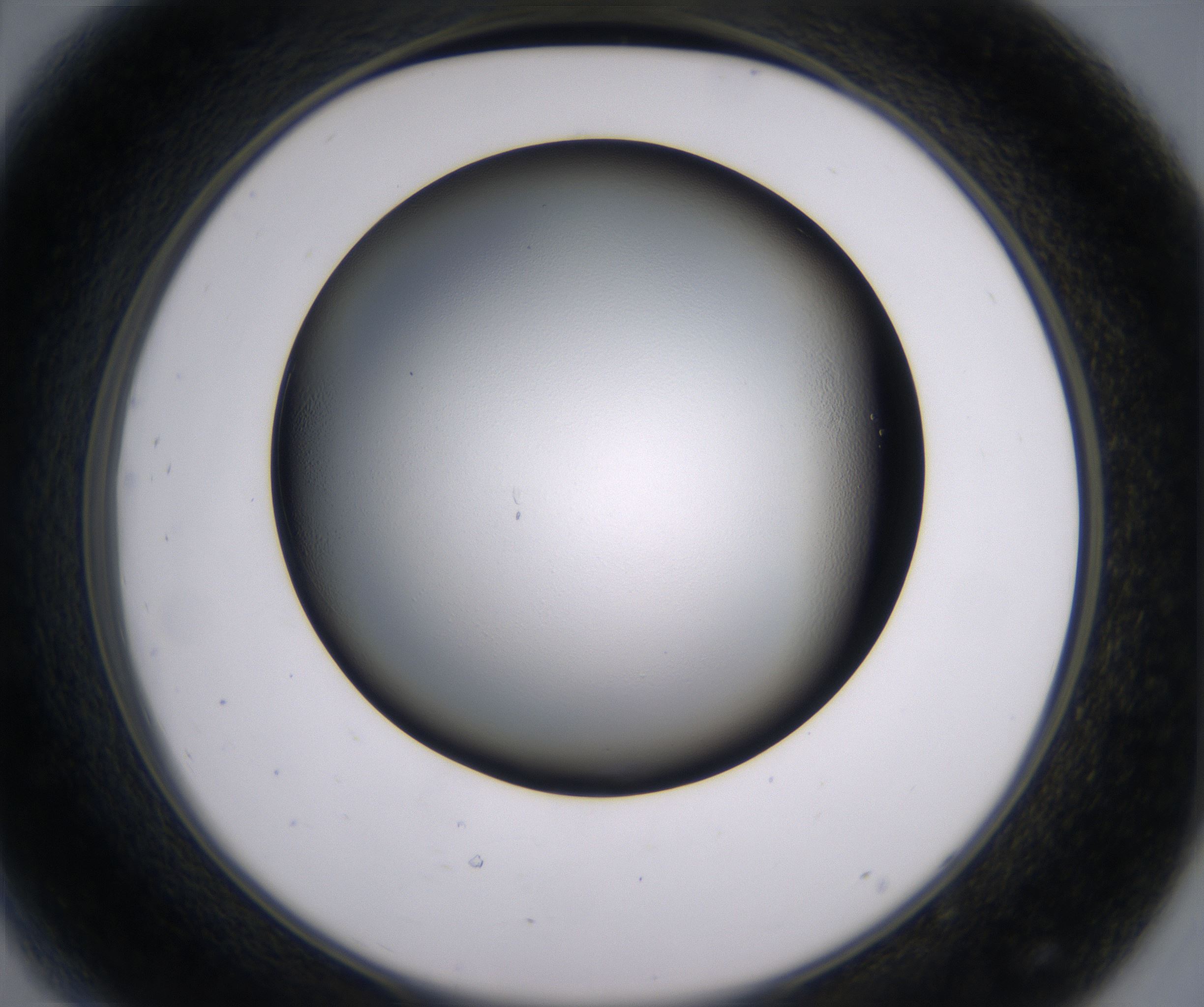 D8_HighResolution_Clear_2.jpg