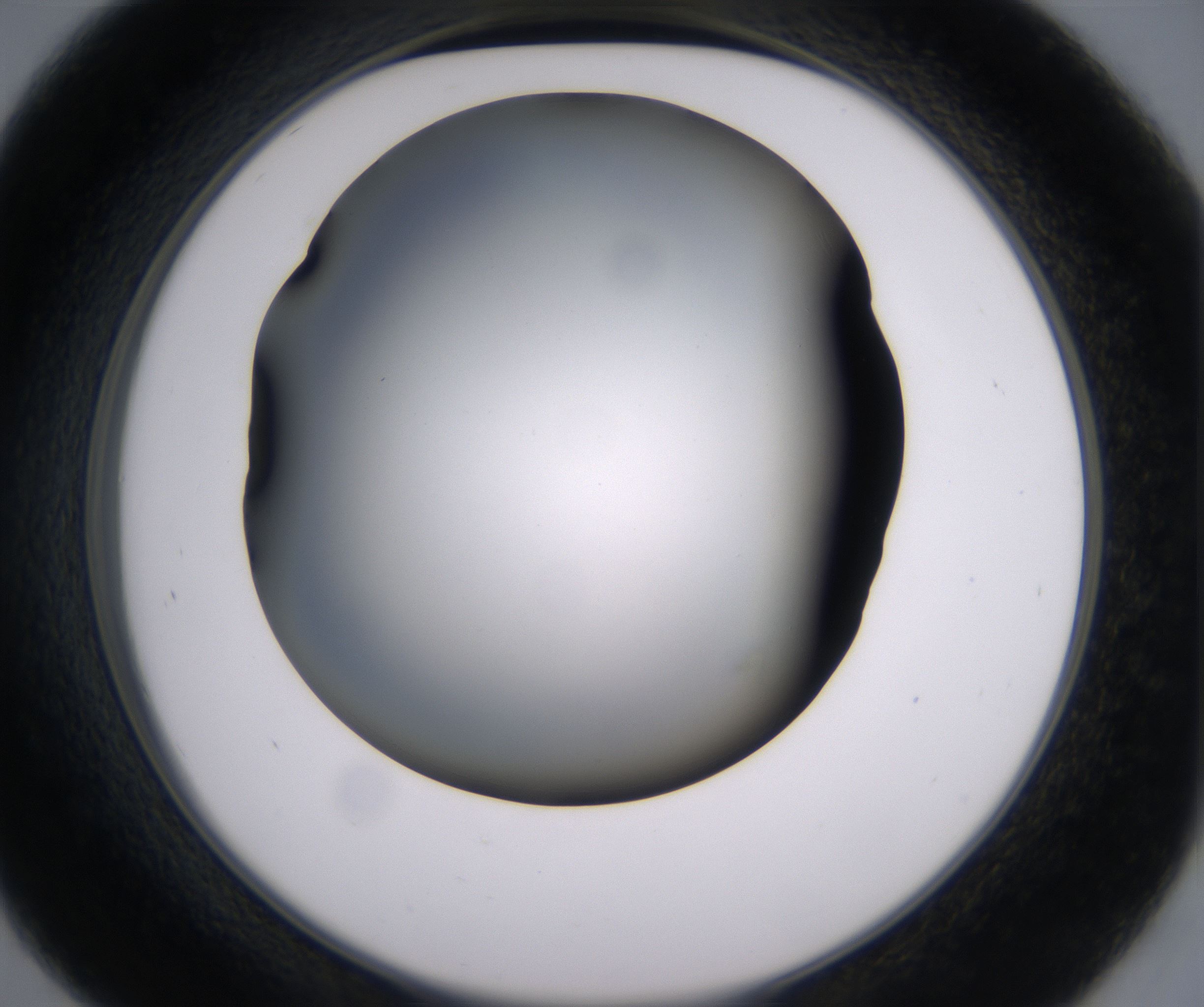 D9_HighResolution_Clear_2.jpg
