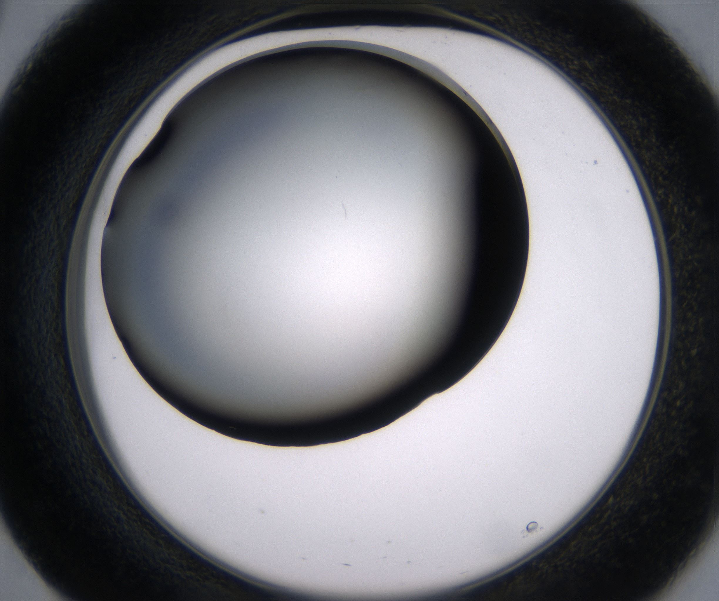 E3_HighResolution_Clear_2.jpg