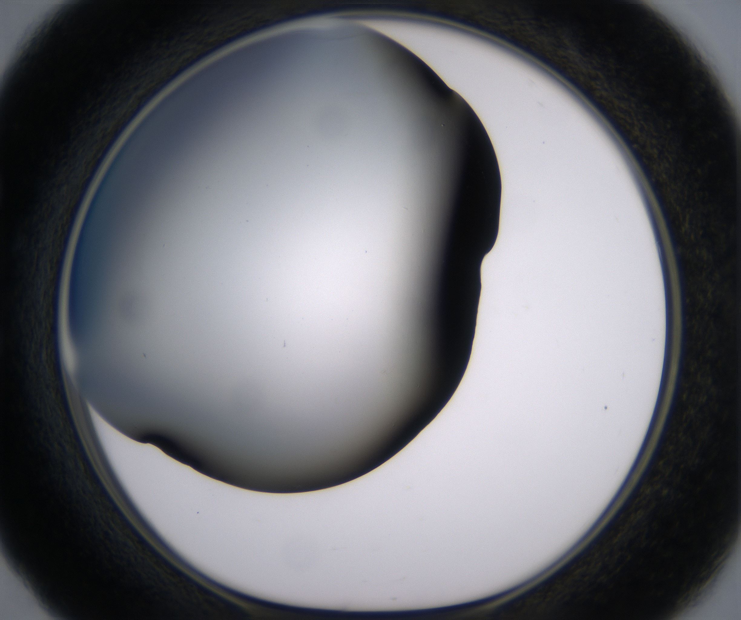 E5_HighResolution_Clear_1.jpg