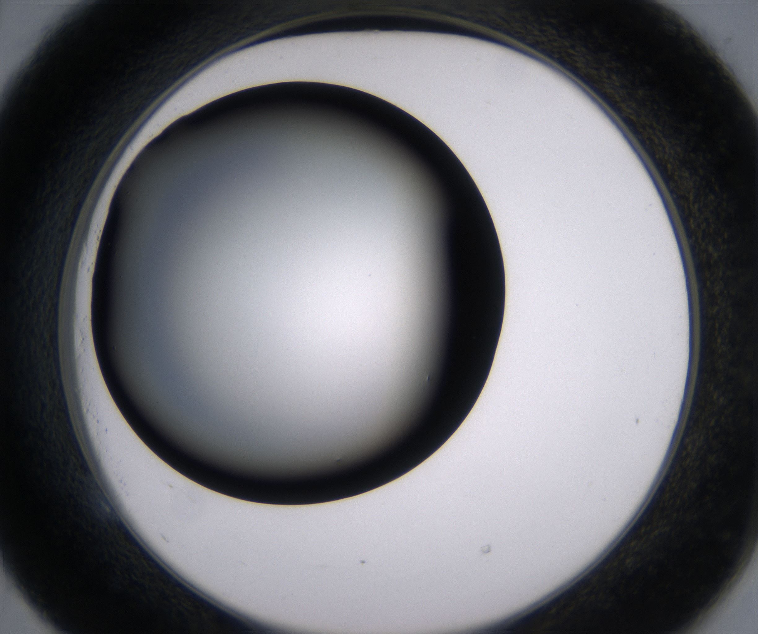 E5_HighResolution_Clear_2.jpg