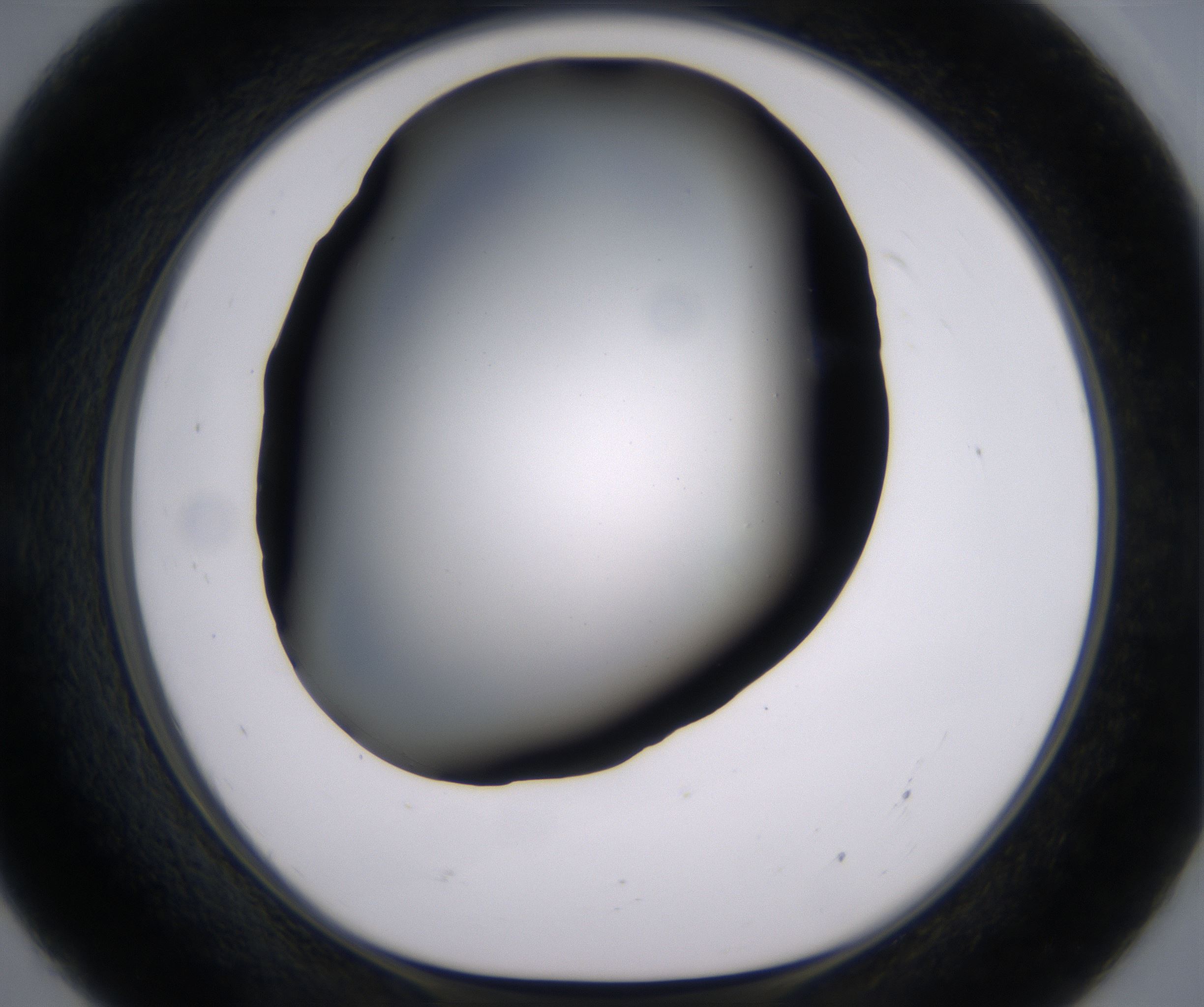 E7_HighResolution_Clear_1.jpg