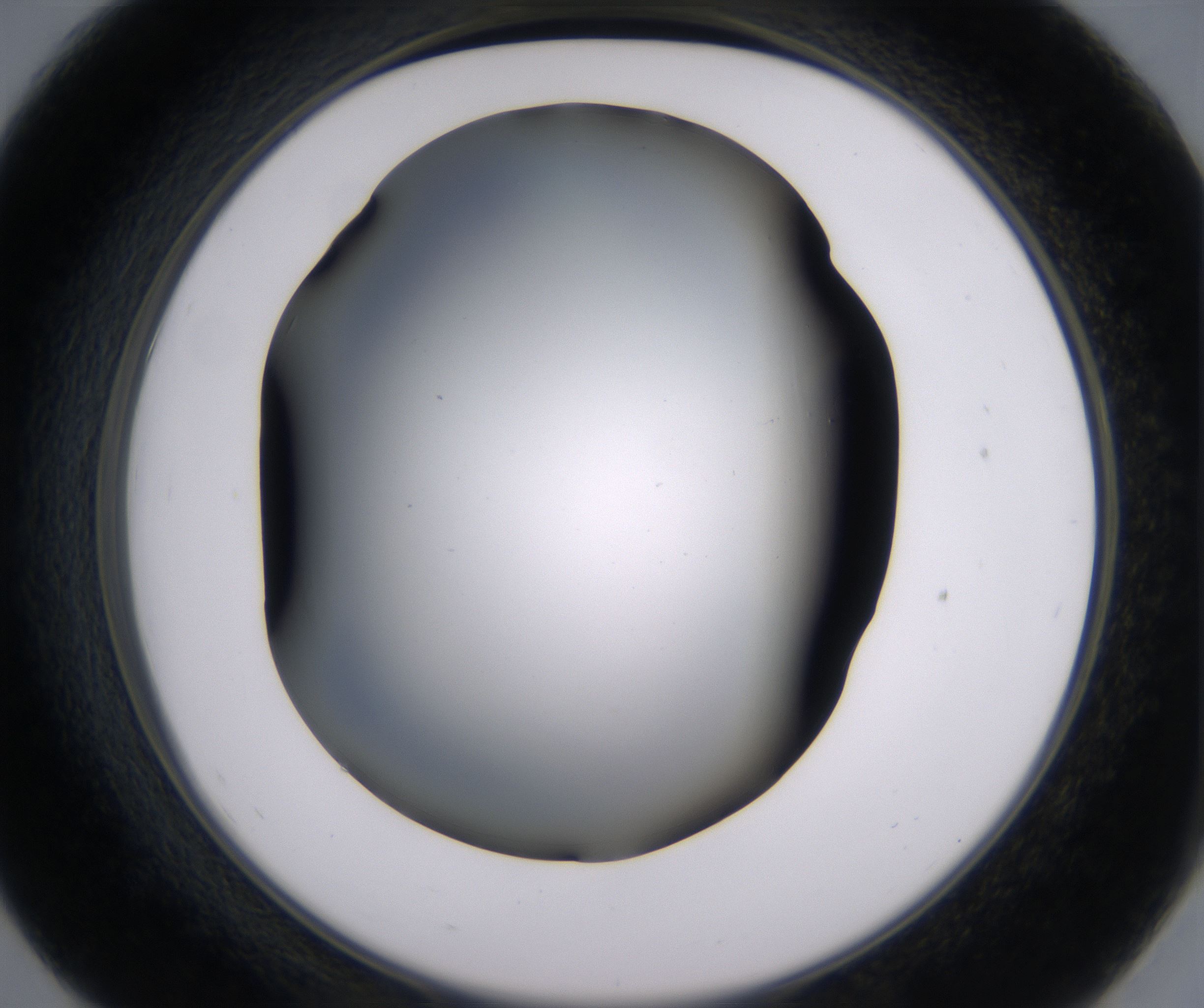 E7_HighResolution_Clear_2.jpg