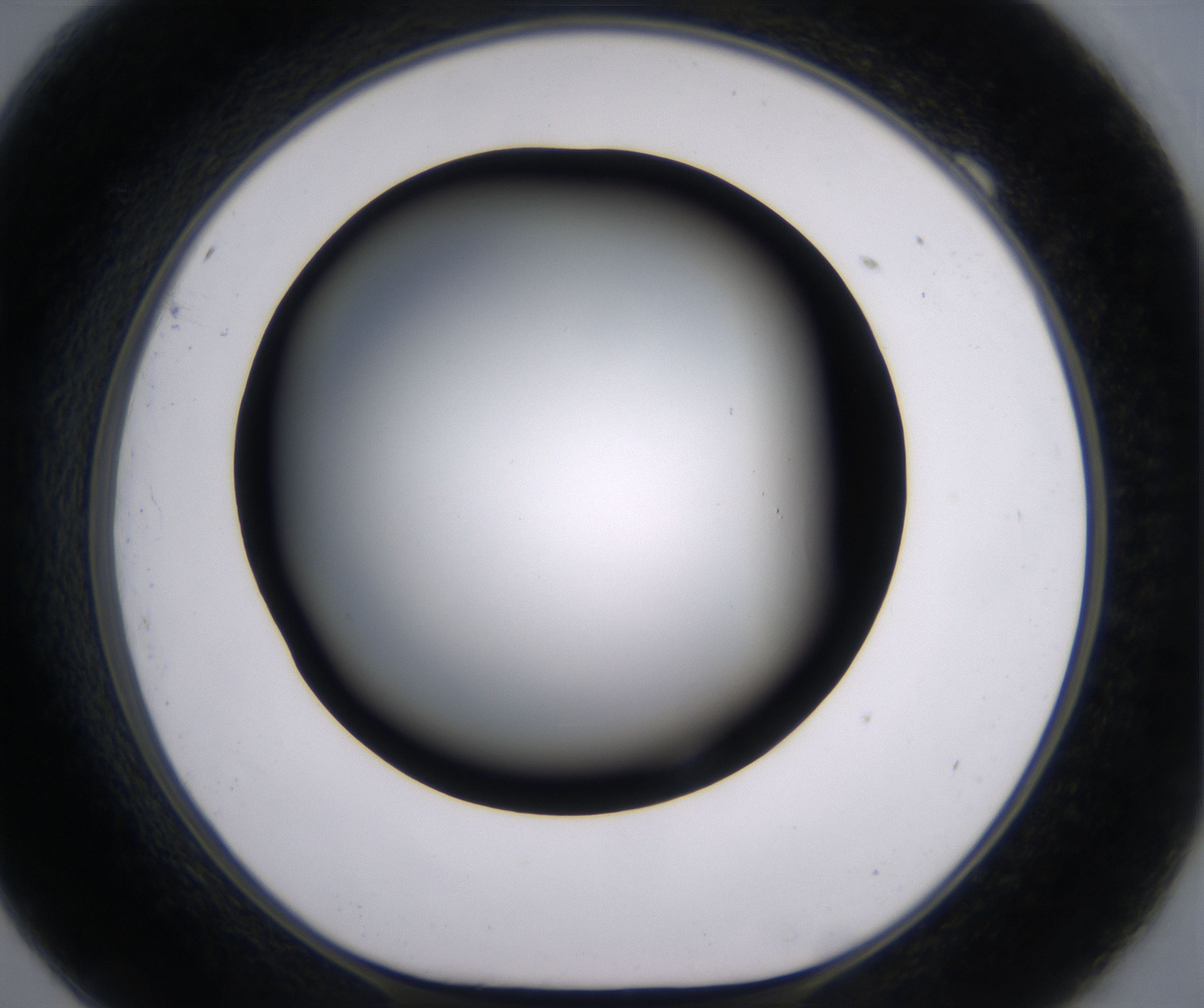 F9_HighResolution_Clear_1.jpg