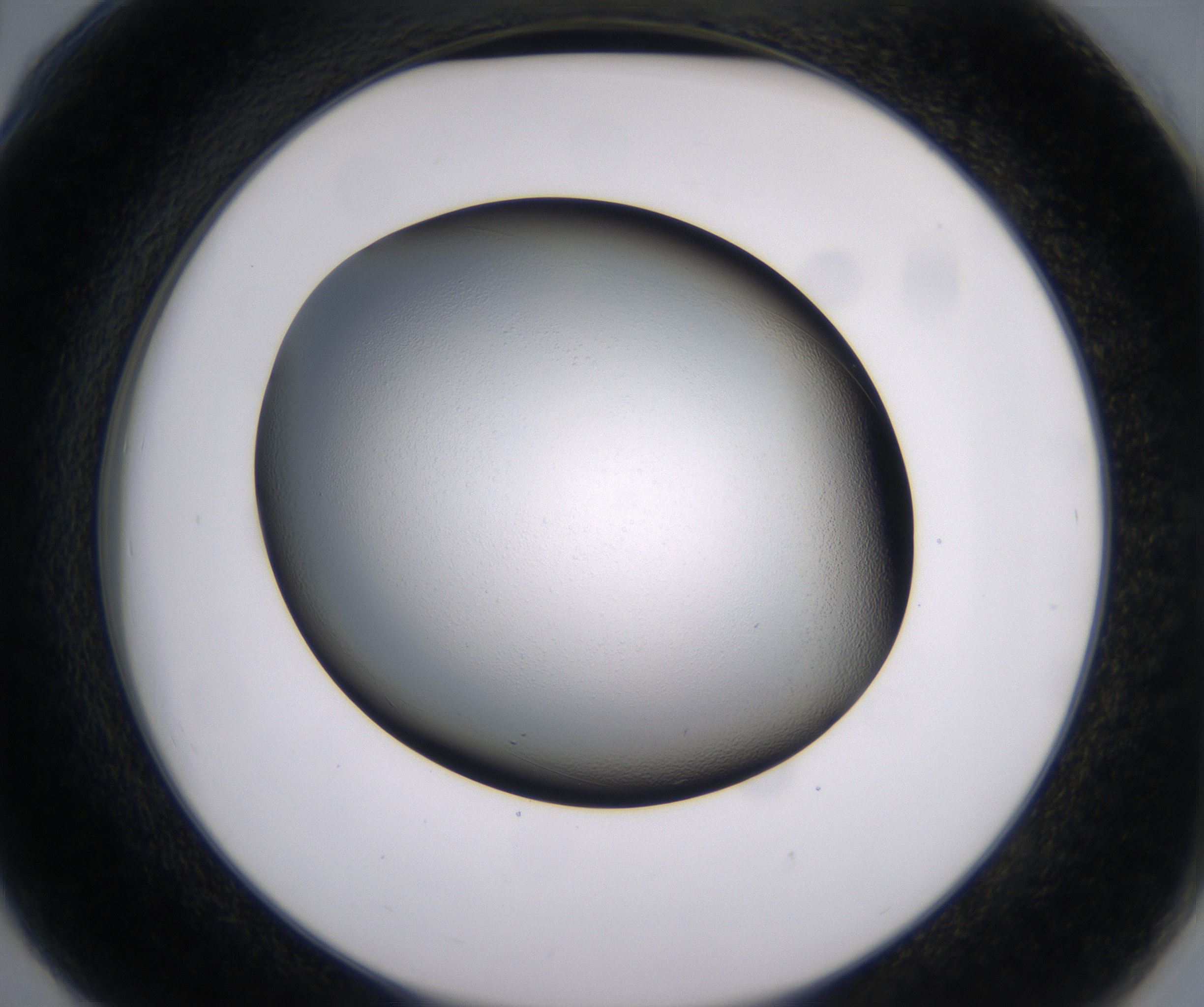 G6_HighResolution_Clear_2.jpg