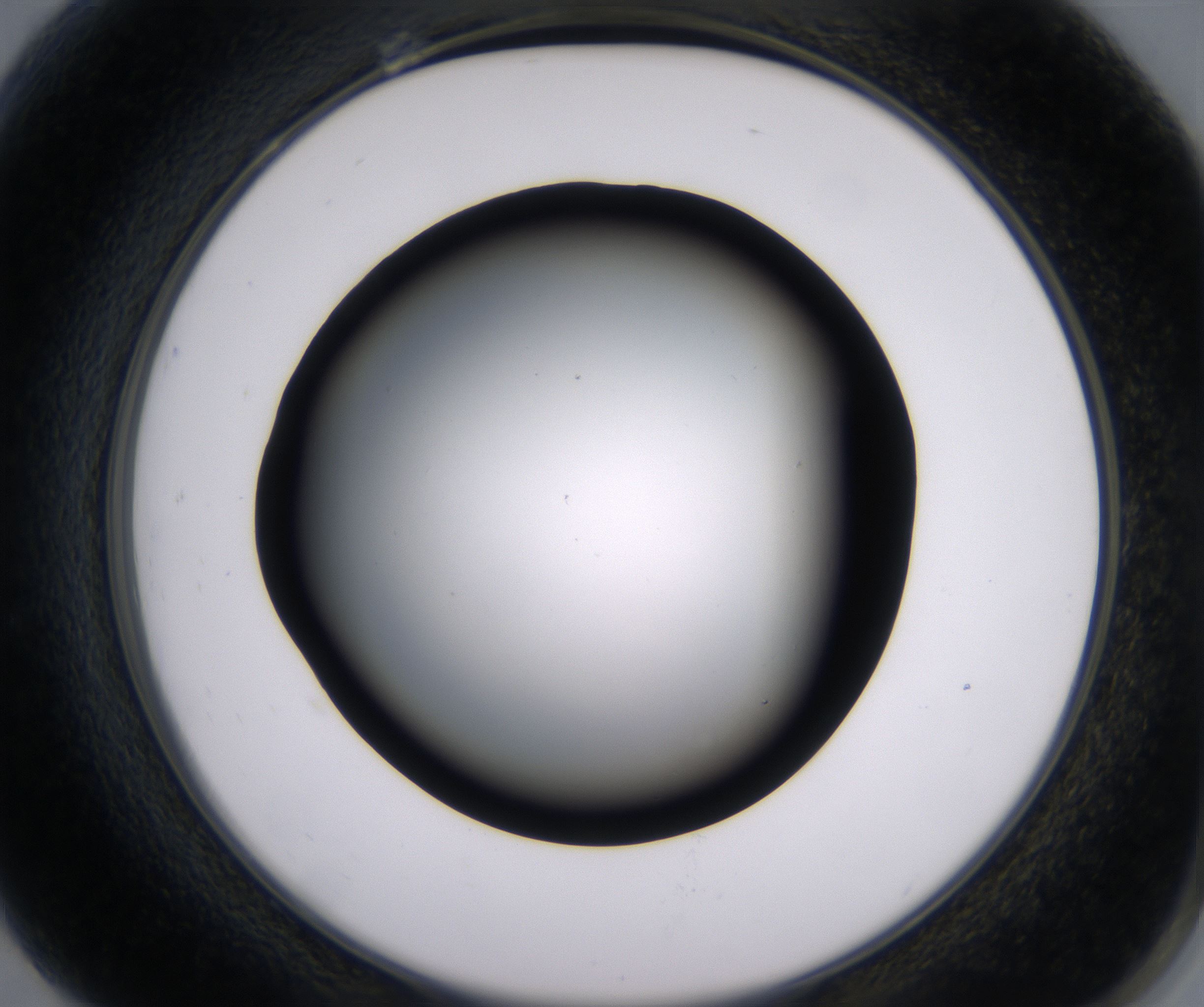 G7_HighResolution_Clear_2.jpg